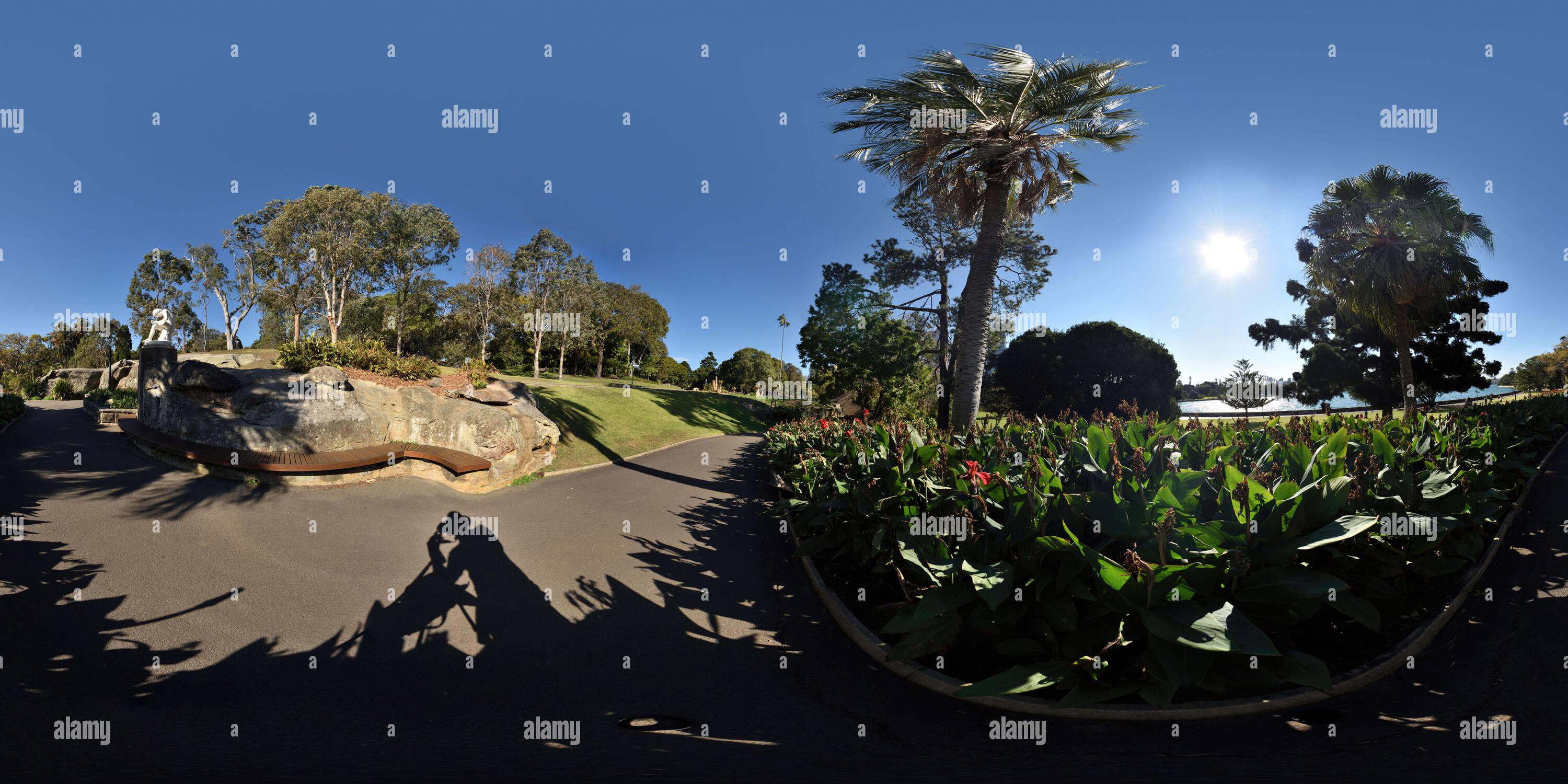 Visualizzazione panoramica a 360 gradi di Panorama a 360° canna Lilies & Boy Extract Thorn statue, Royal Botanic Gardens Sydney; Australia