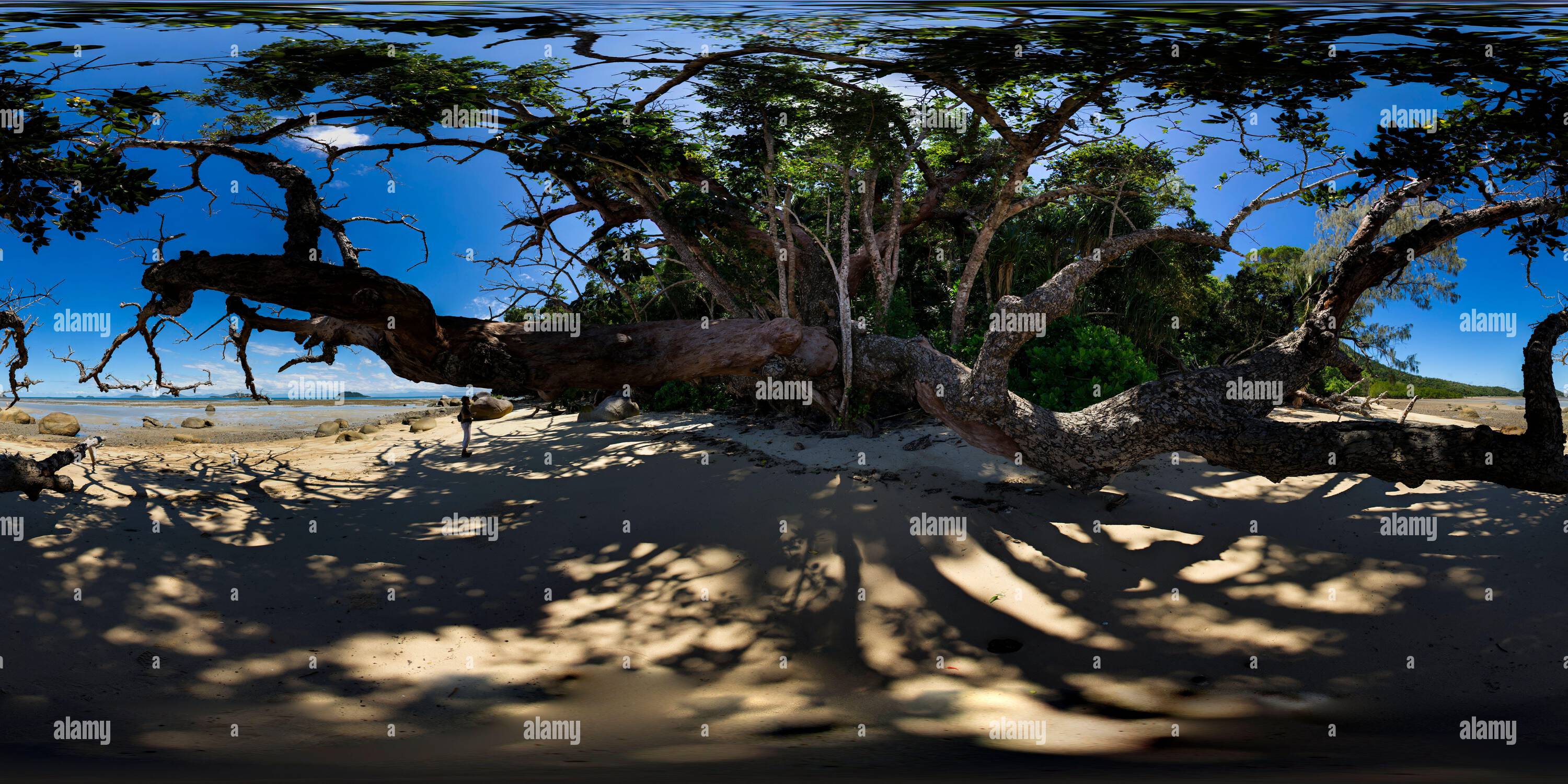 Visualizzazione panoramica a 360 gradi di Panorama a 360° di Coconut Beach Dunk Island Queensland Australia