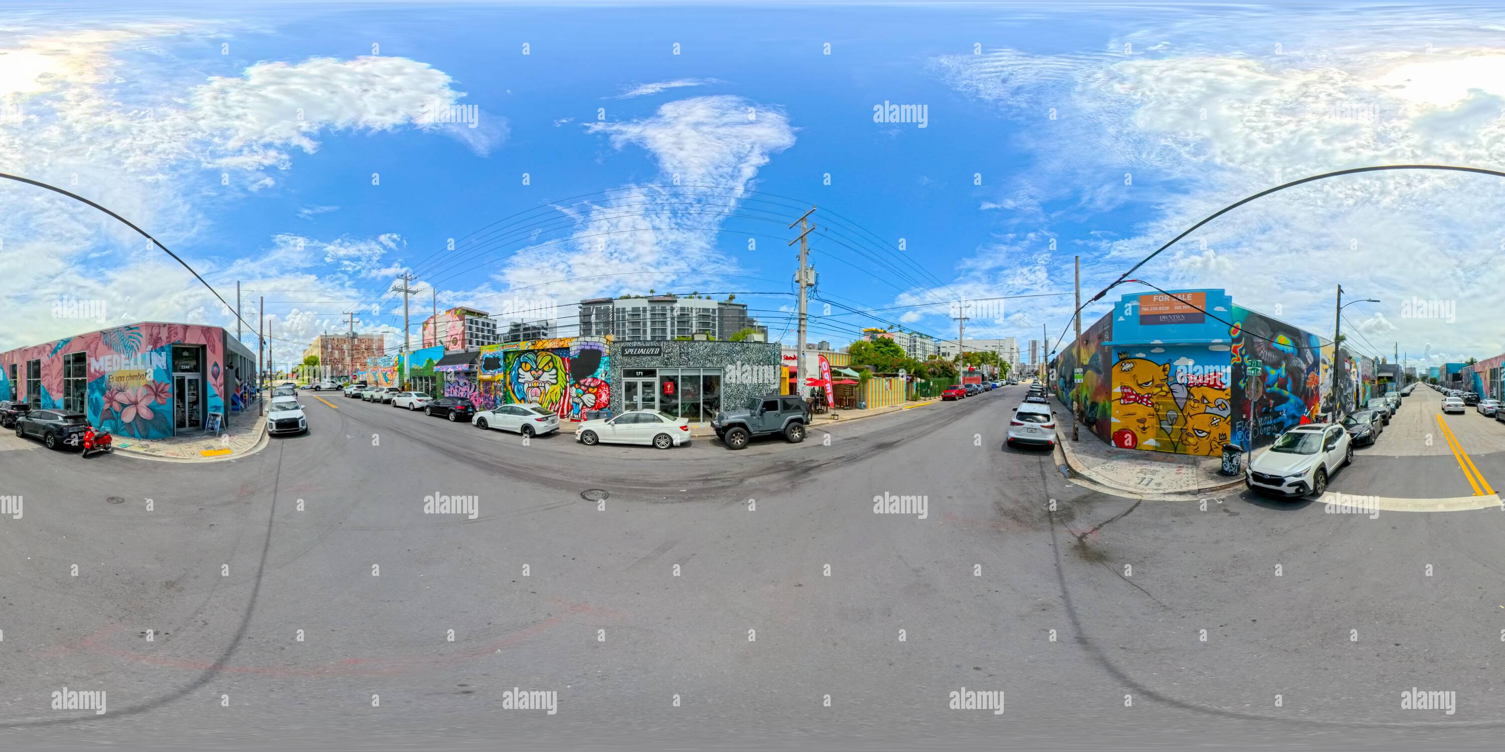 Visualizzazione panoramica a 360 gradi di Miami, FL, USA - 25 agosto 2024: Murales per le strade Miami Wynwood