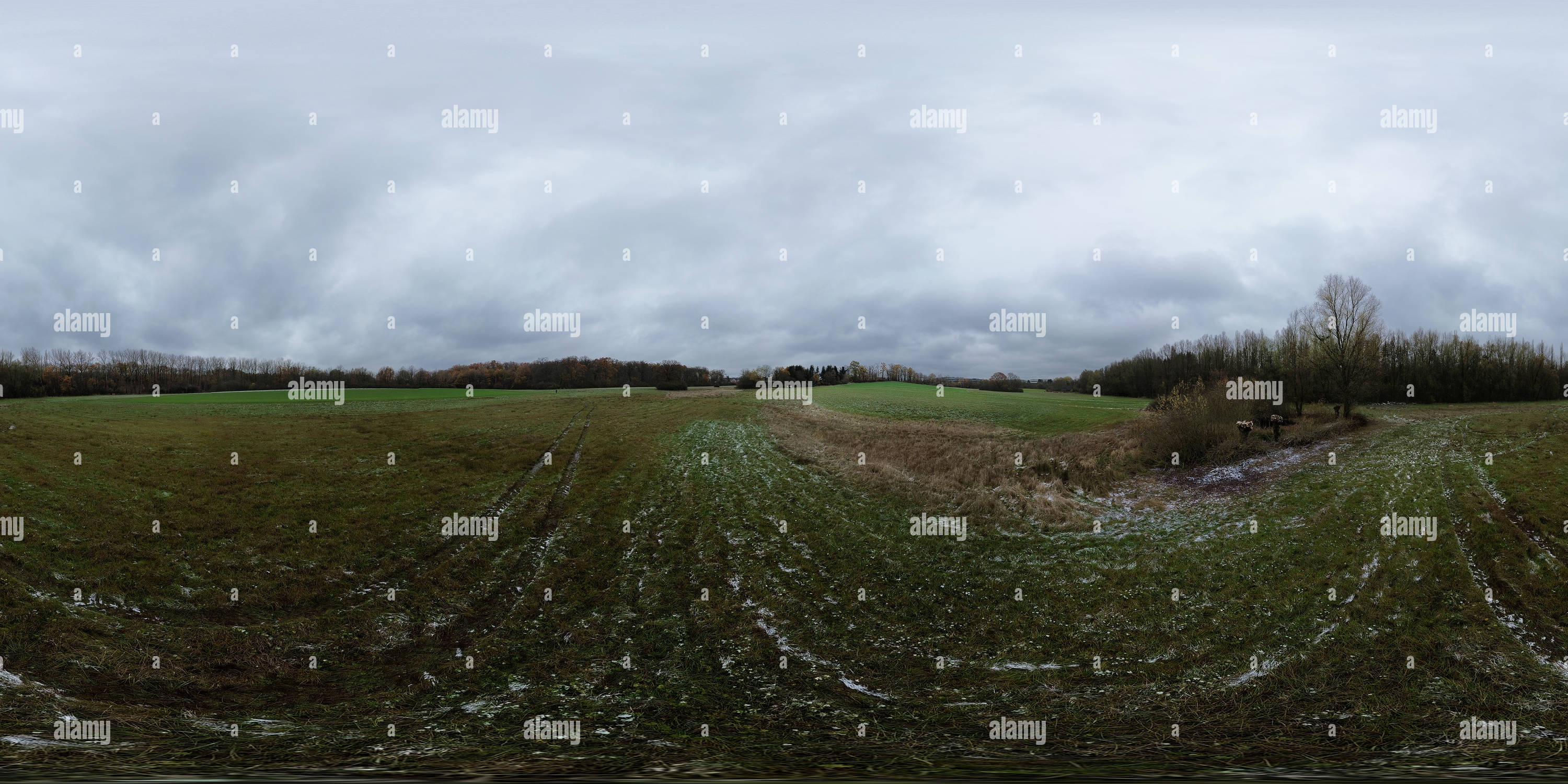 Visualizzazione panoramica a 360 gradi di Alberi di Pollarded nel campo tra il Faulbaach e la Rte d'Arlon