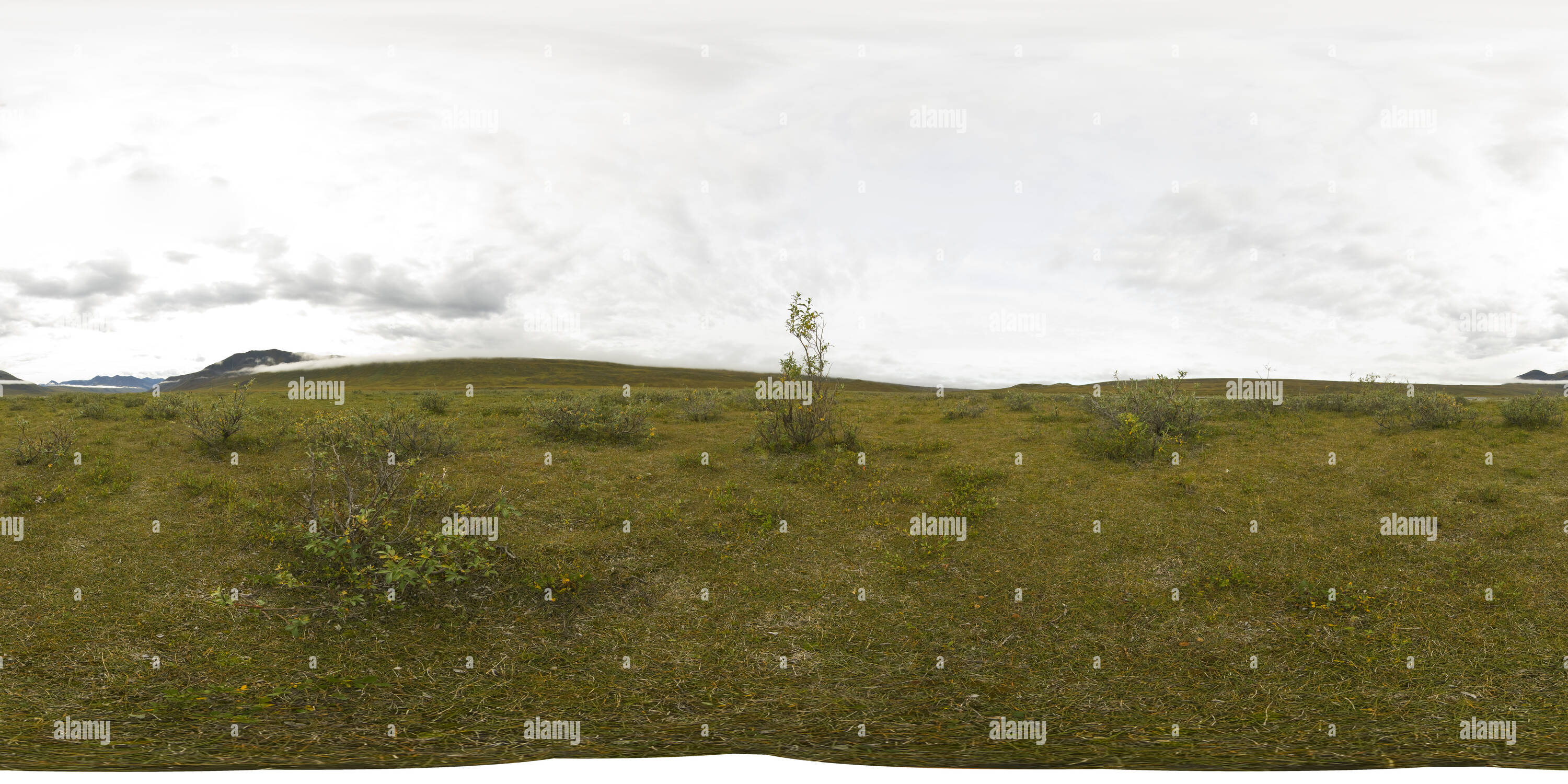 Visualizzazione panoramica a 360 gradi di Jago Fiume (17 Aug 07 12:23)