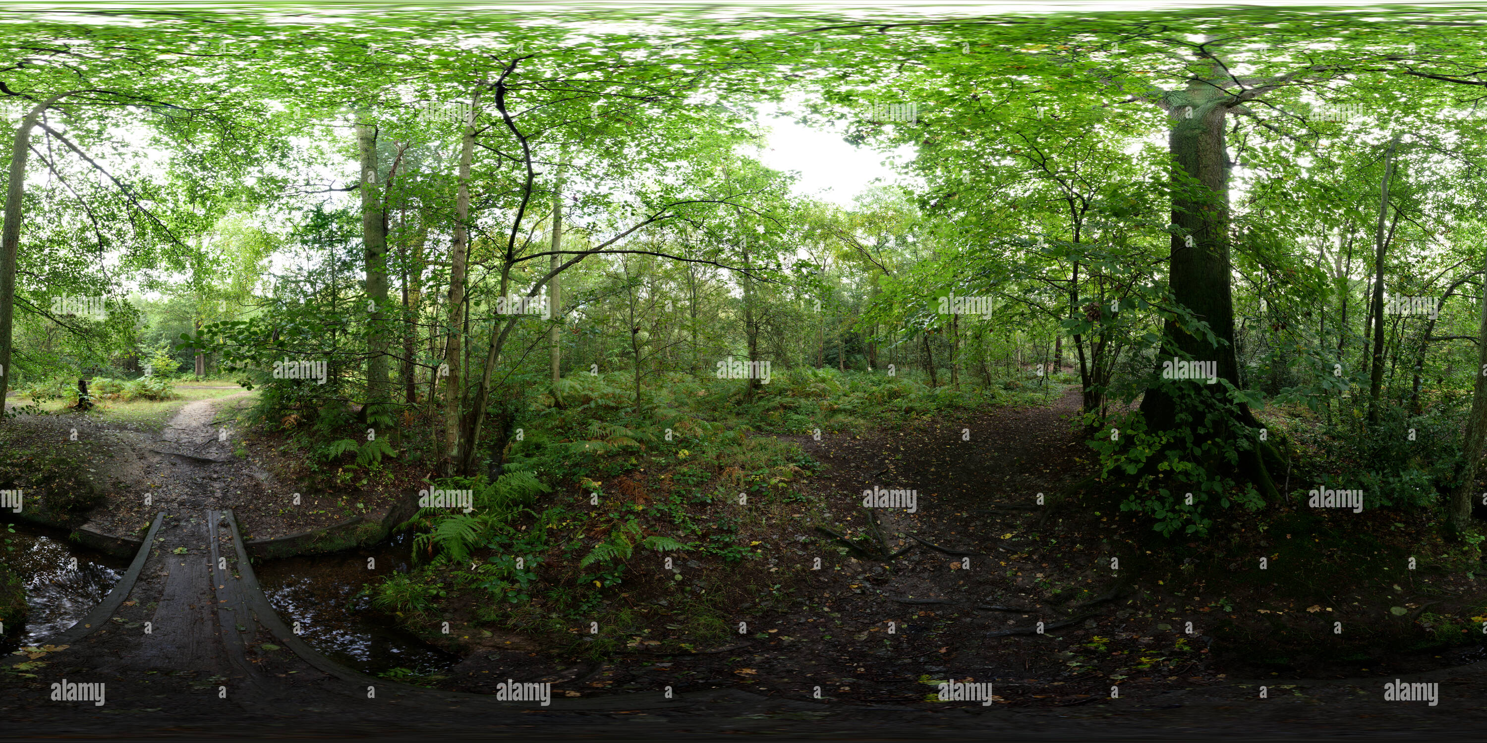 Visualizzazione panoramica a 360 gradi di Parco Black Stream