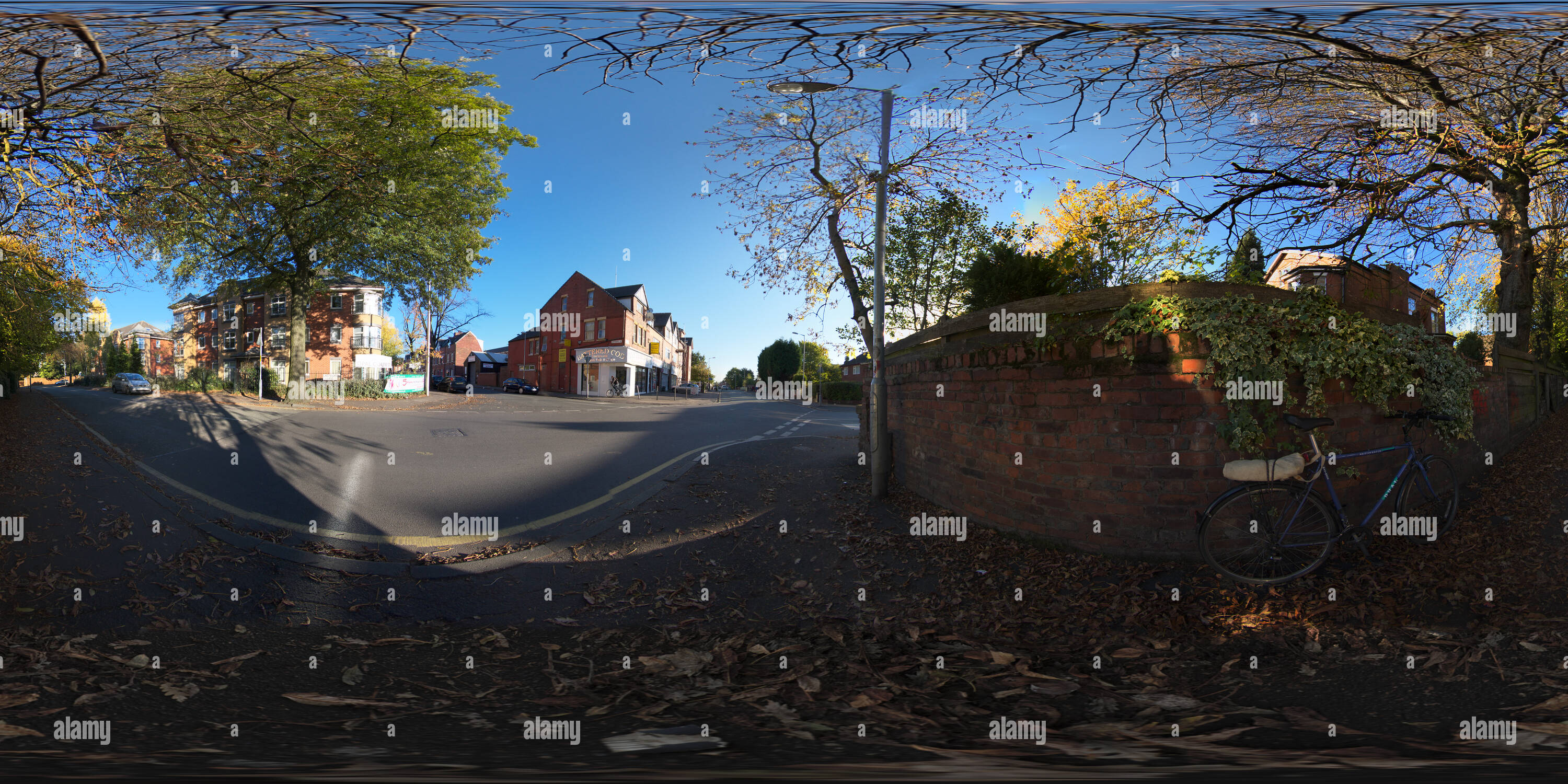 Visualizzazione panoramica a 360 gradi di Strada Ladybarn / Ladybarn Lane