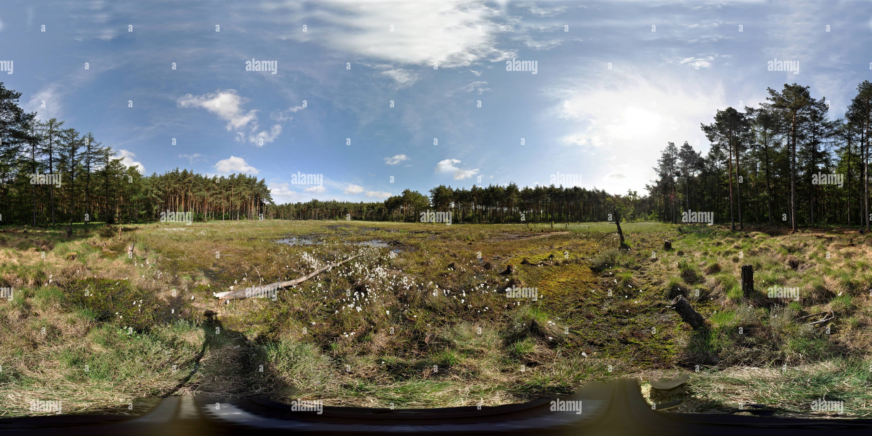 Visualizzazione panoramica a 360 gradi di In Wasagmoor Sythen