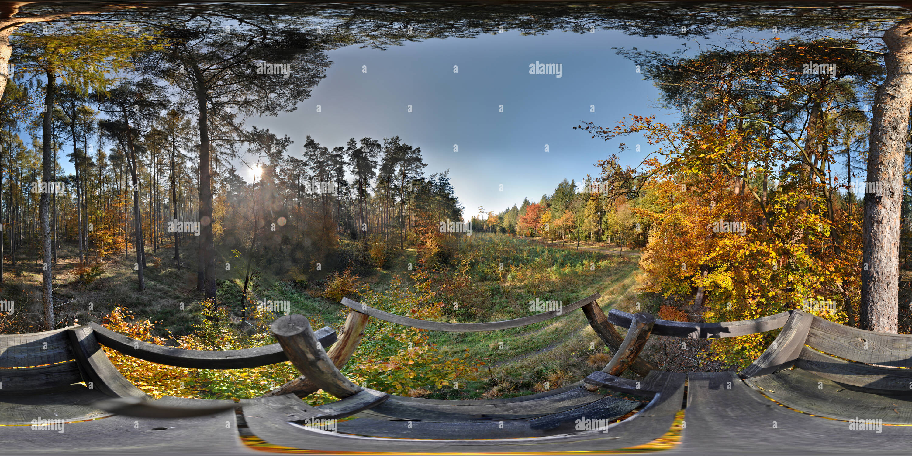 Visualizzazione panoramica a 360 gradi di Hochsitz herbstlichen im Wald Linnert, Haltern am See