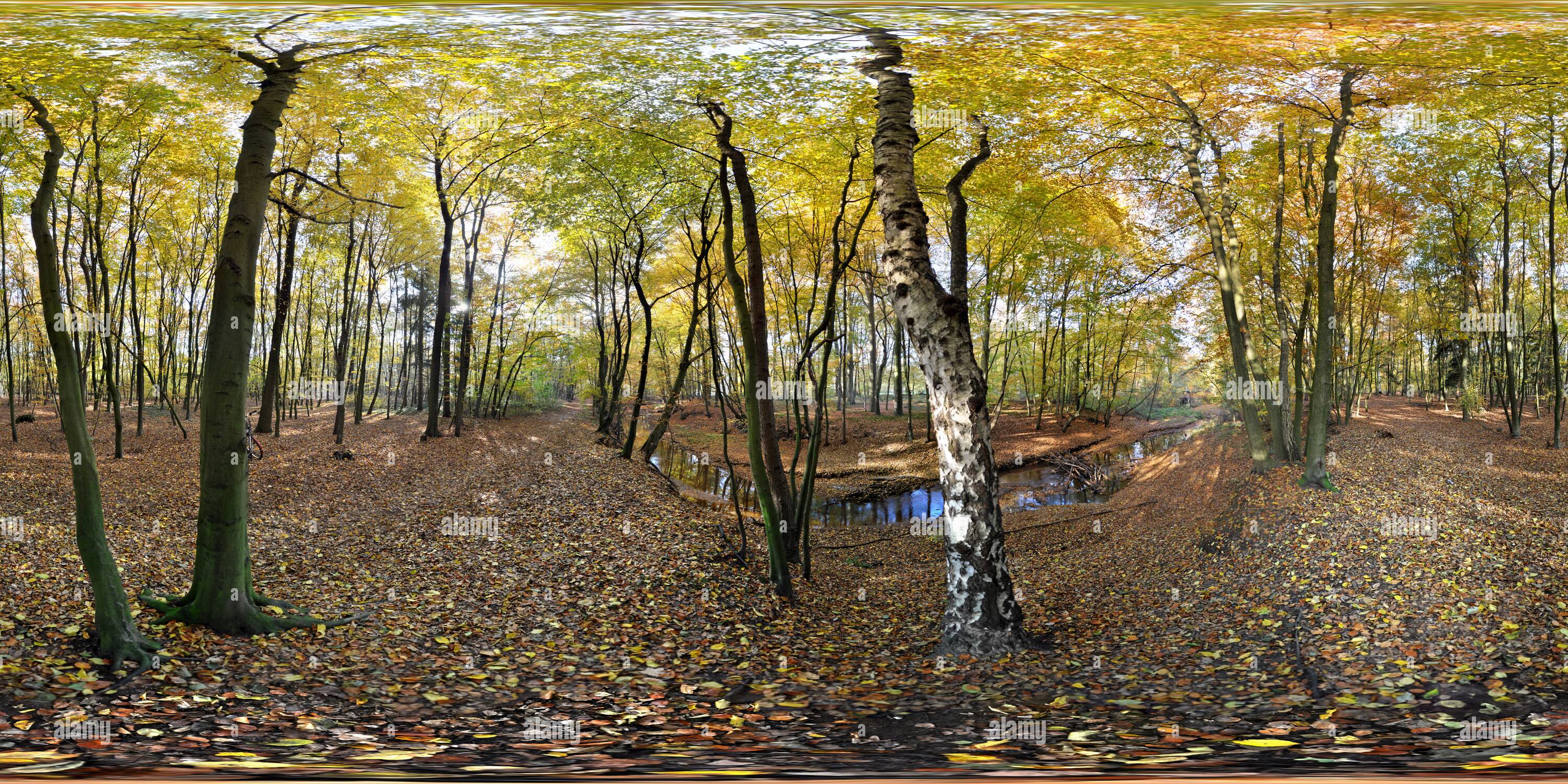 Visualizzazione panoramica a 360 gradi di Herbst am Sandbach In Sythen