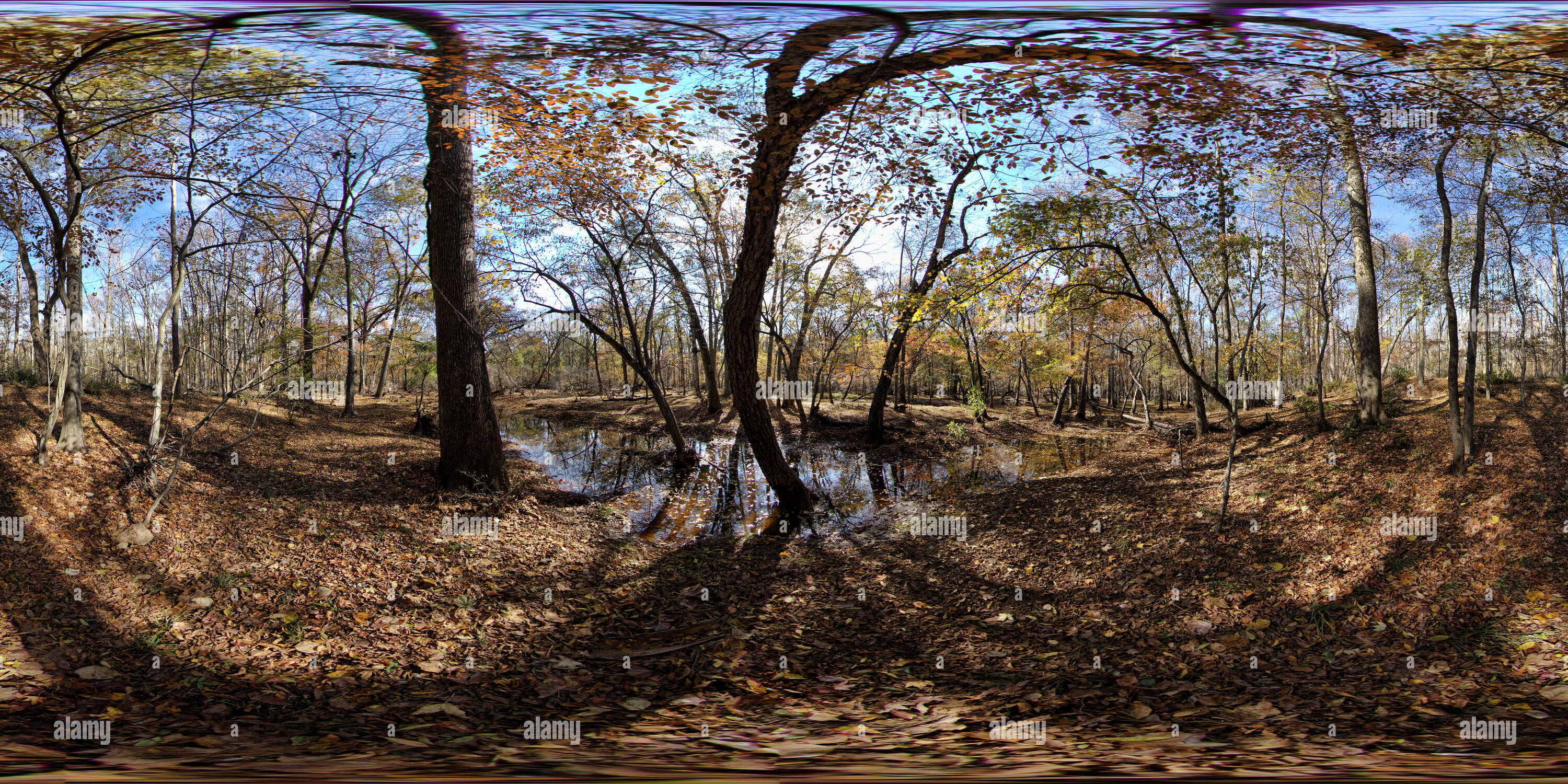 Visualizzazione panoramica a 360 gradi di Allaire Stae Park, NJ