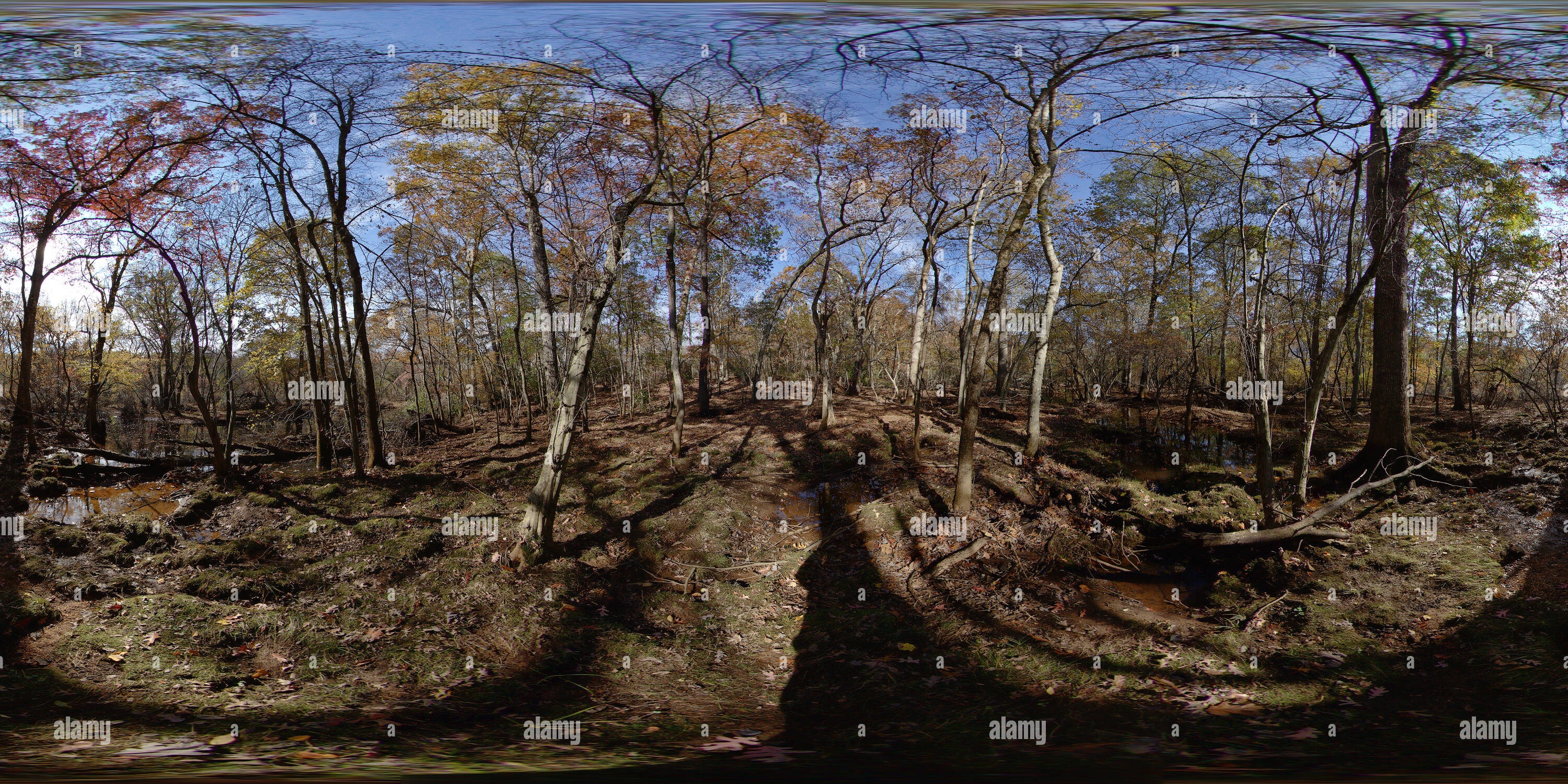 Visualizzazione panoramica a 360 gradi di Floodplain, Allaire parco dello stato