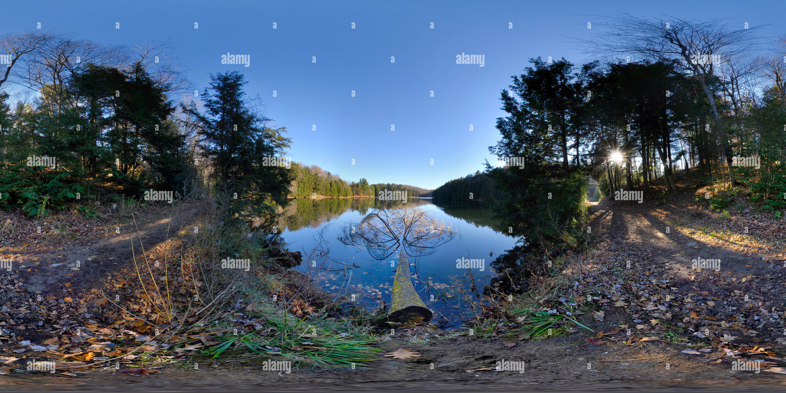 Visualizzazione panoramica a 360 gradi di Pino caduti, Lac Meech, Québec