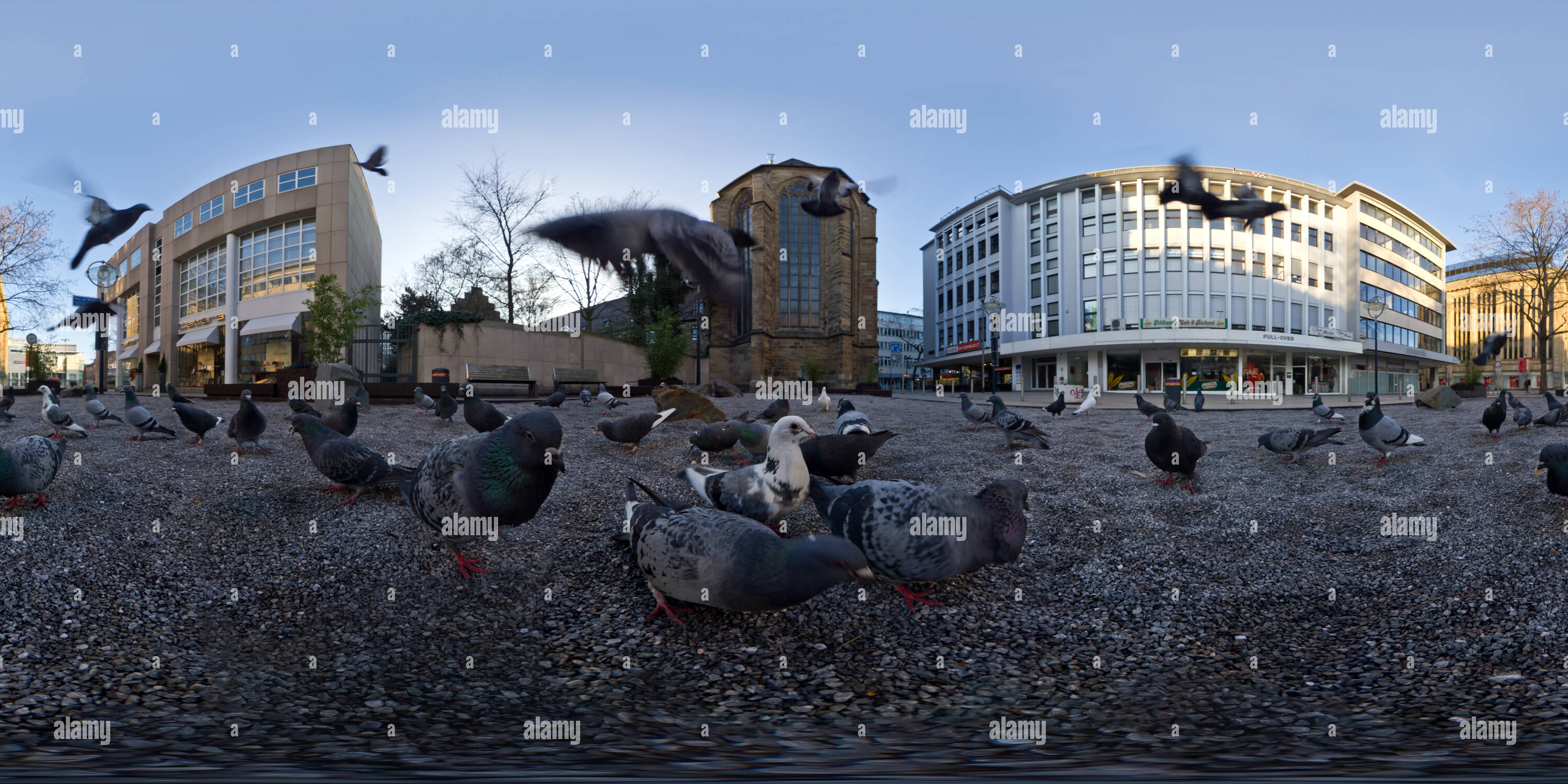 Visualizzazione panoramica a 360 gradi di Tauben am 'Platz von Hiroshima' in Dortmund