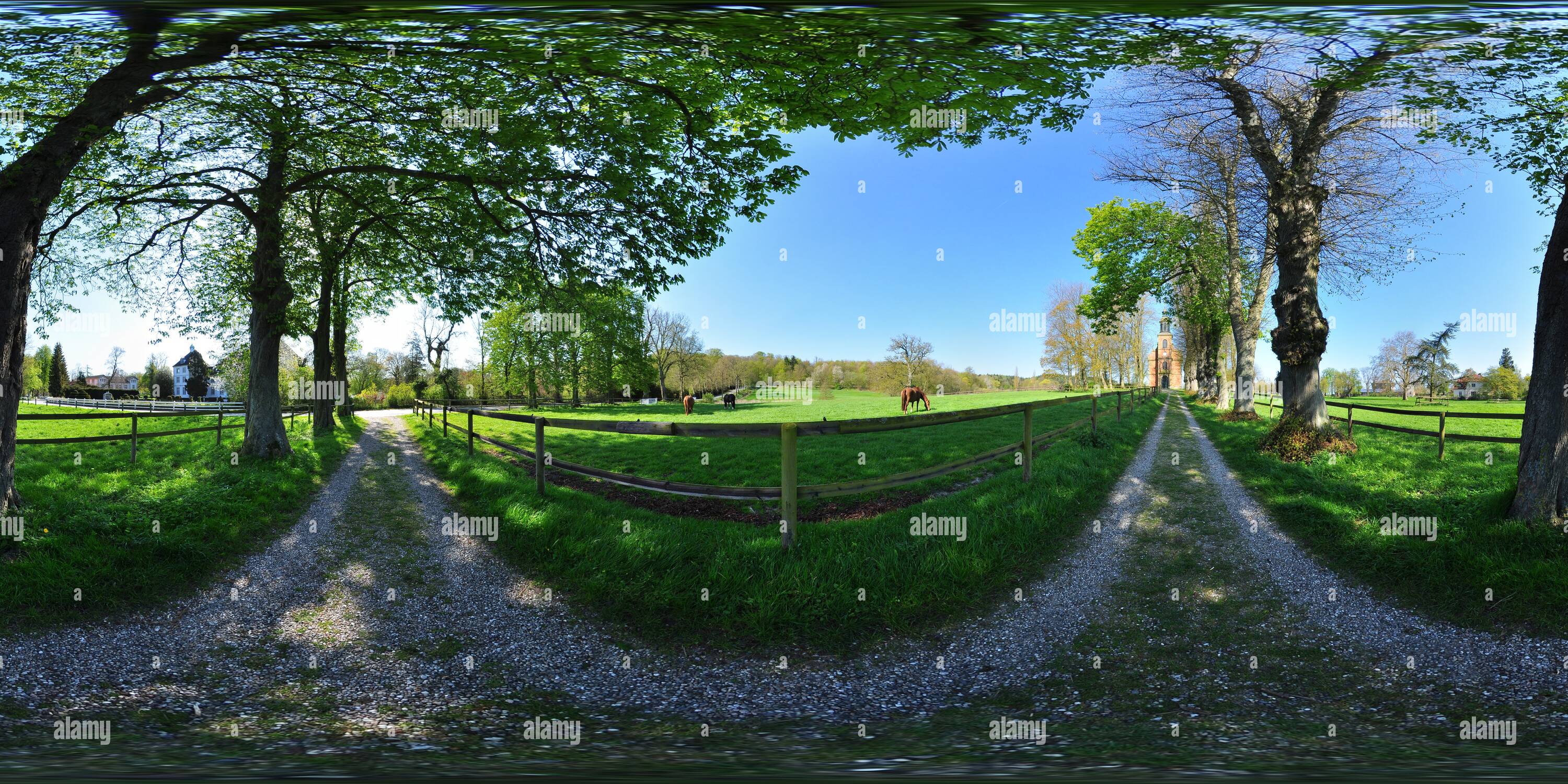 Visualizzazione panoramica a 360 gradi di Gut Panker - Pferde auf der Weide