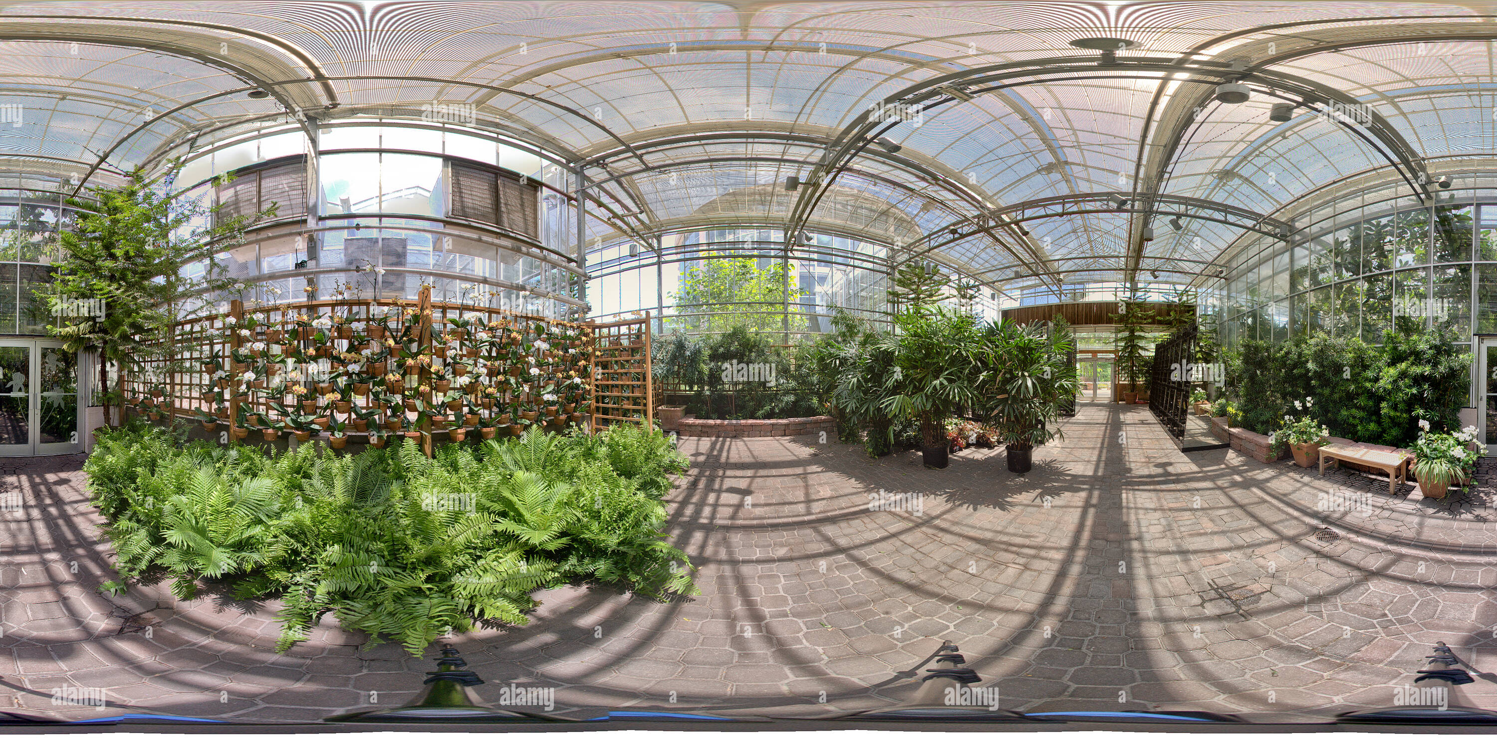 Visualizzazione panoramica a 360 gradi di Fuqua Conservatorio di Atlanta Giardino Botanico