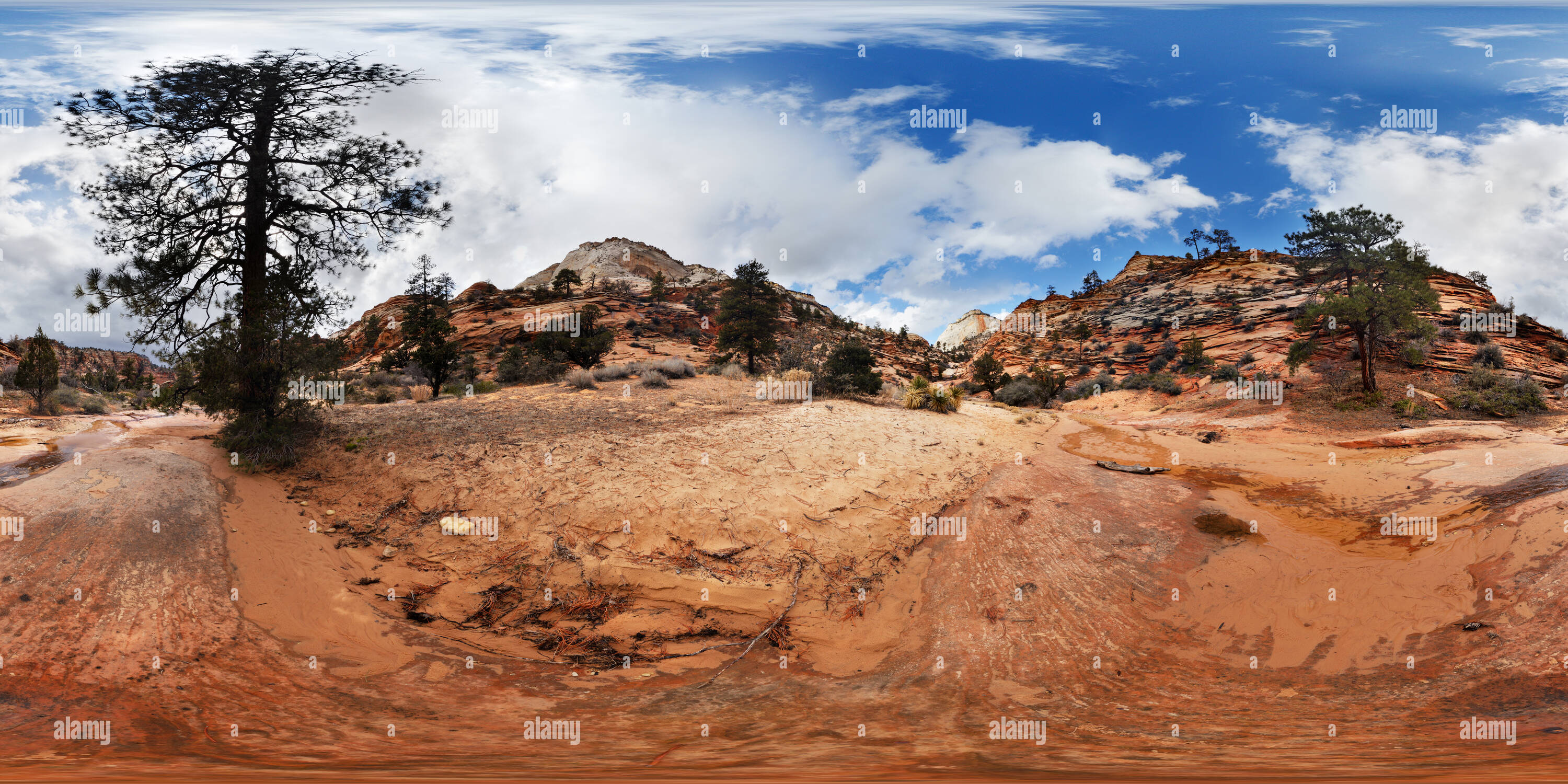 Visualizzazione panoramica a 360 gradi di Molte piscine Trail, Parco Nazionale Zion, Utah, Stati Uniti d'America