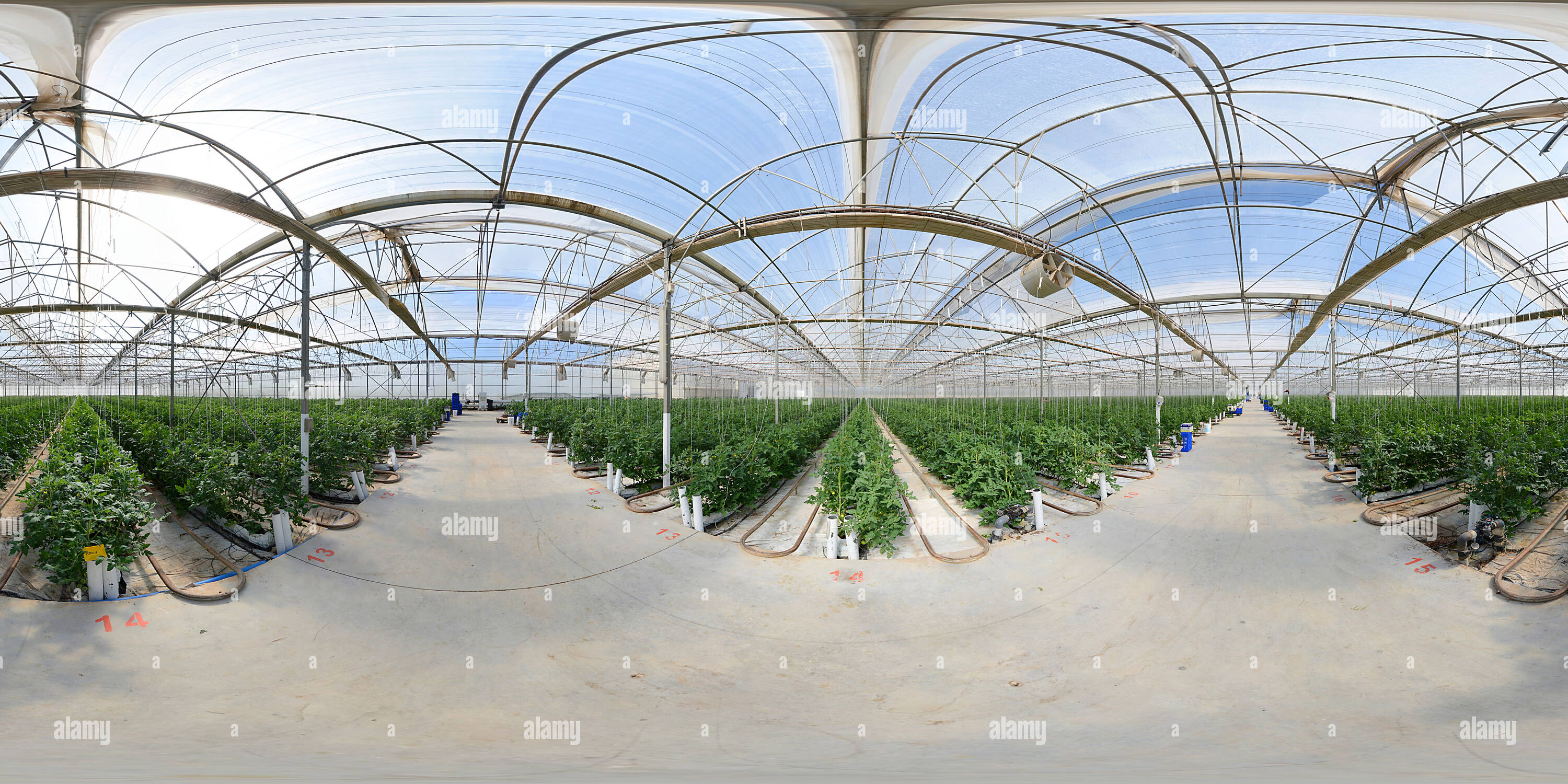 Visualizzazione panoramica a 360 gradi di Uno dei migliori esempi di Soilless Agricoltura, Antalya