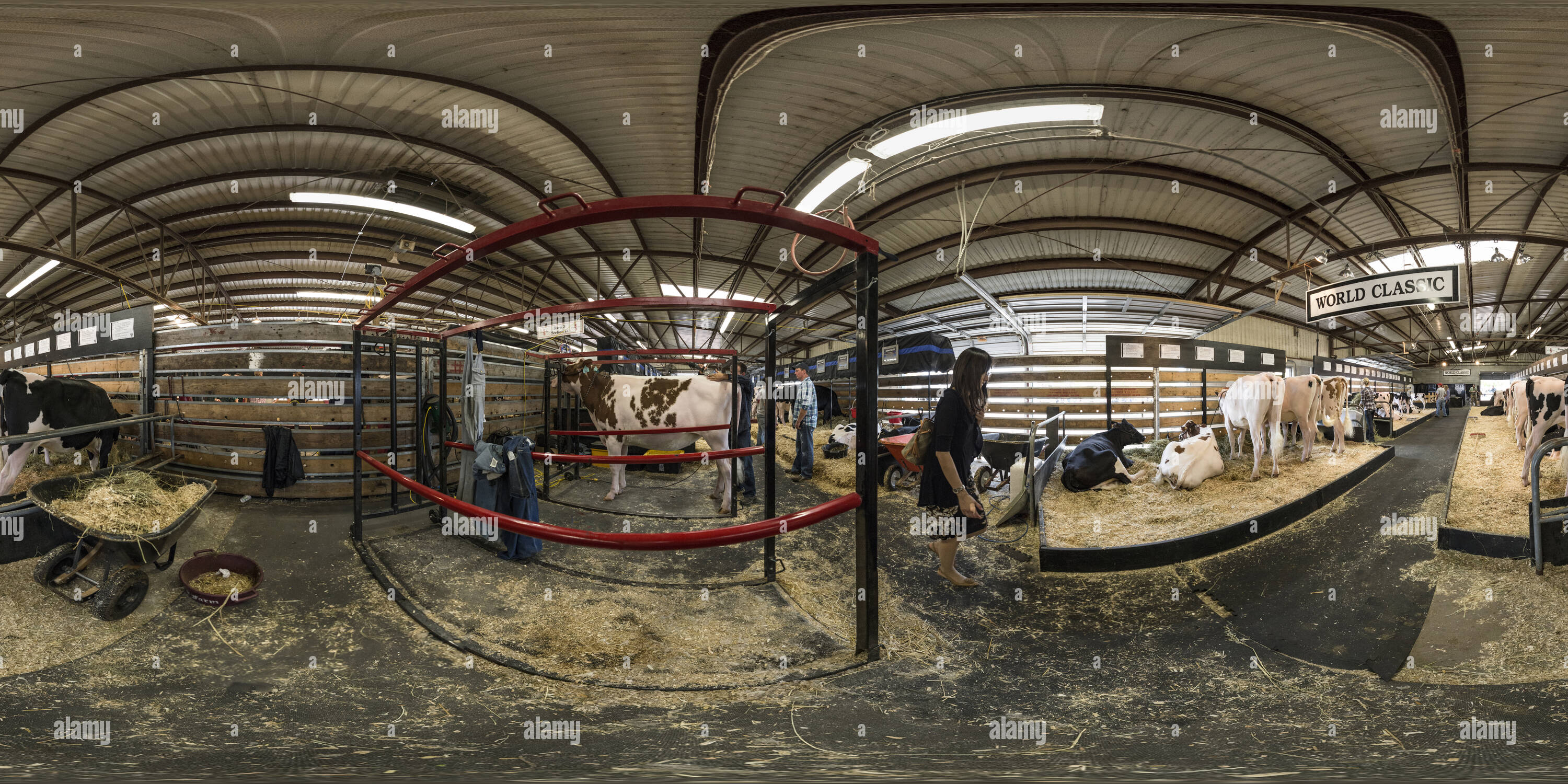 Visualizzazione panoramica a 360 gradi di Mondo Classico al World Dairy Expo 2013