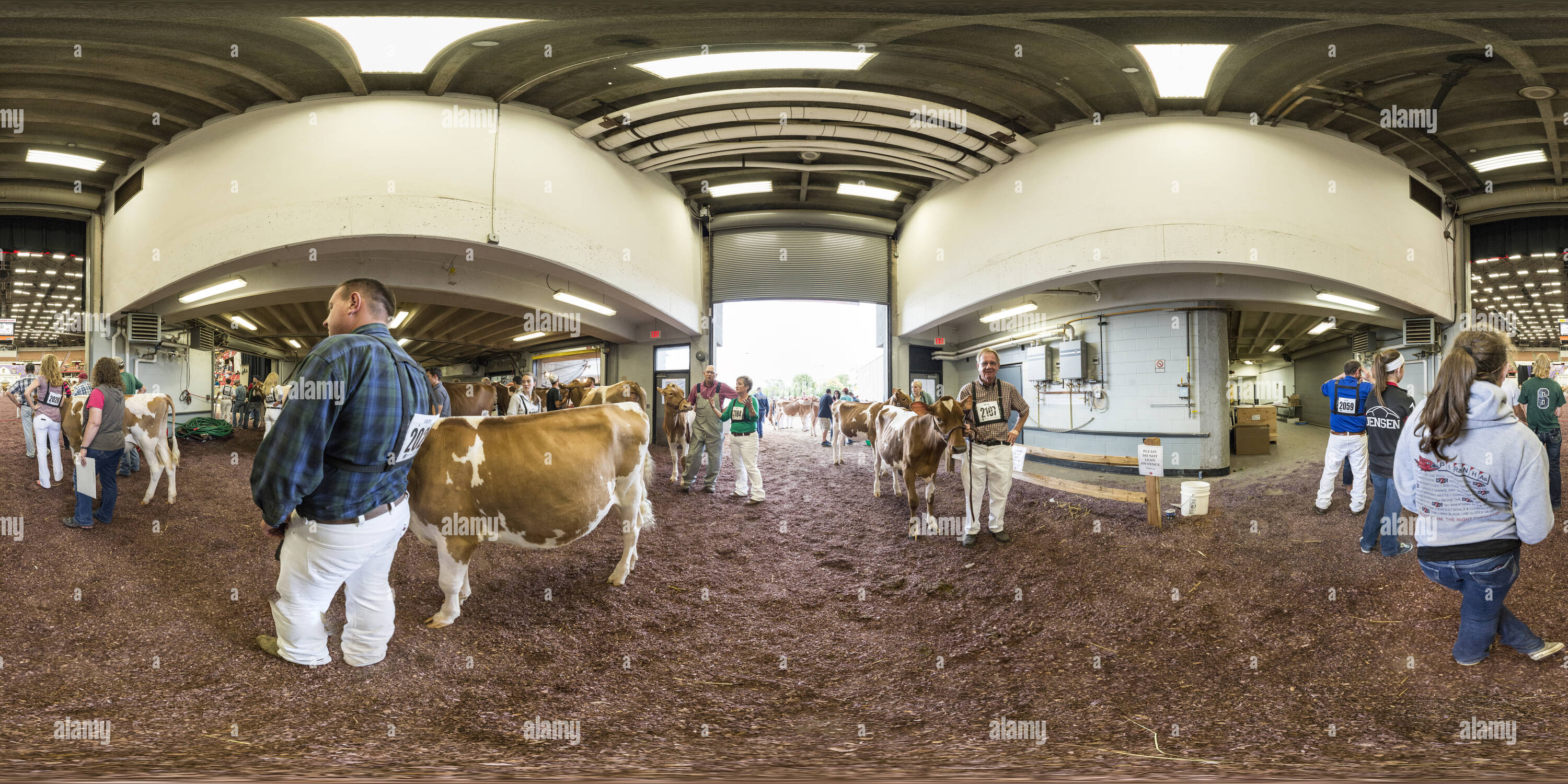 Visualizzazione panoramica a 360 gradi di L'attesa al World Expo Casearia 2013