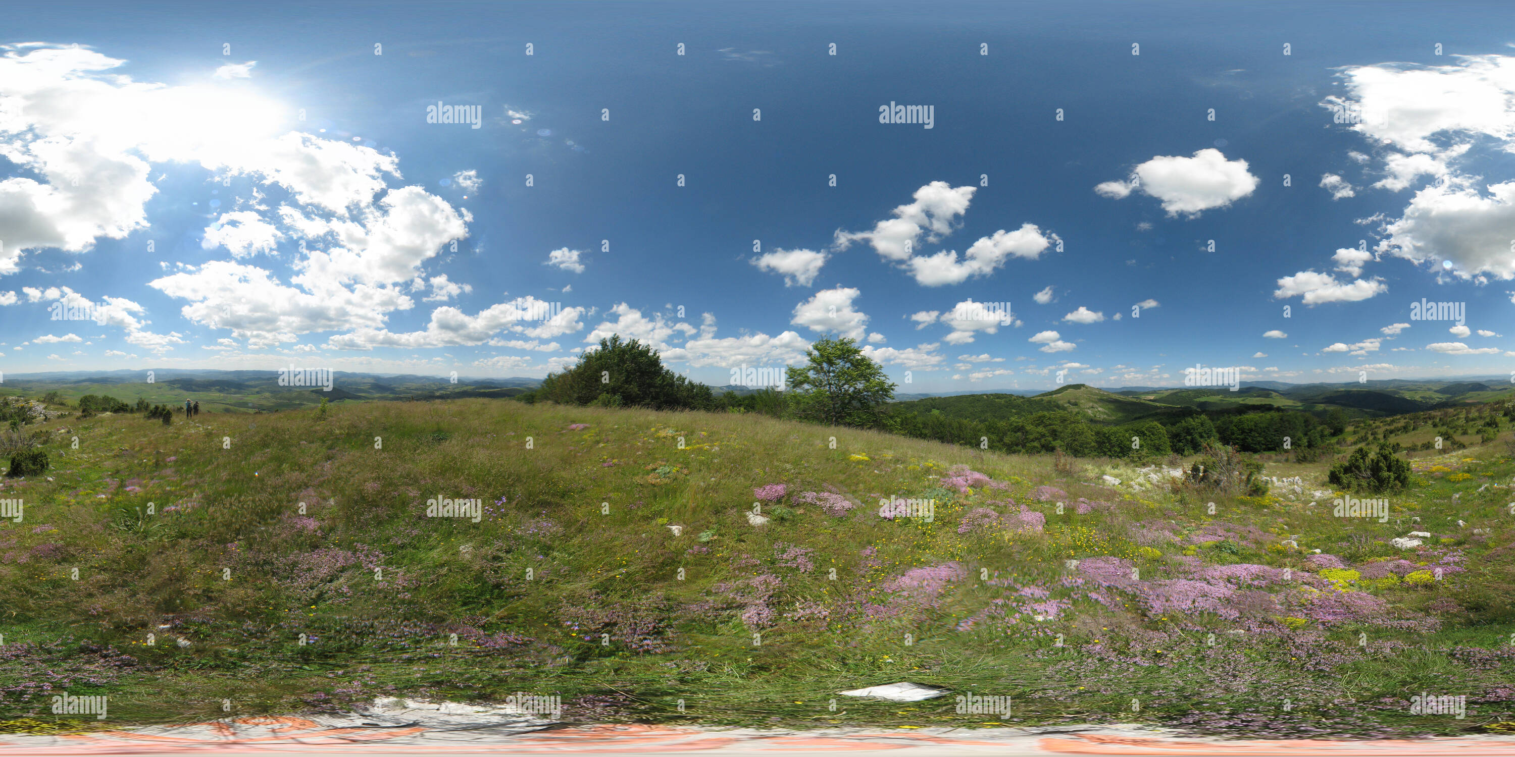 Visualizzazione panoramica a 360 gradi di Ivanjica - Jankov Vrh