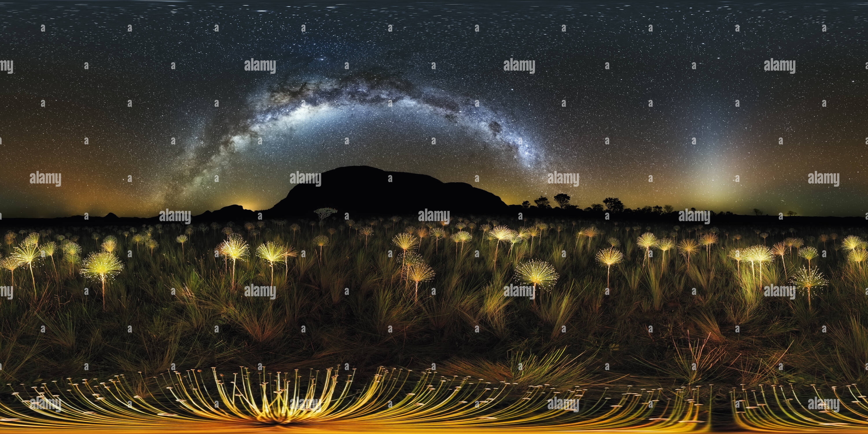 Visualizzazione panoramica a 360 gradi di Paepalanthus Galactic