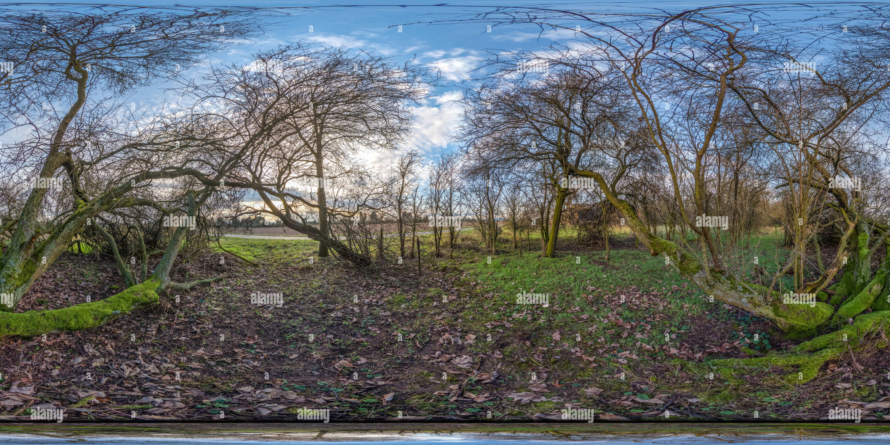 Visualizzazione panoramica a 360 gradi di NoTitlebecauseoflimitions da 360Cities