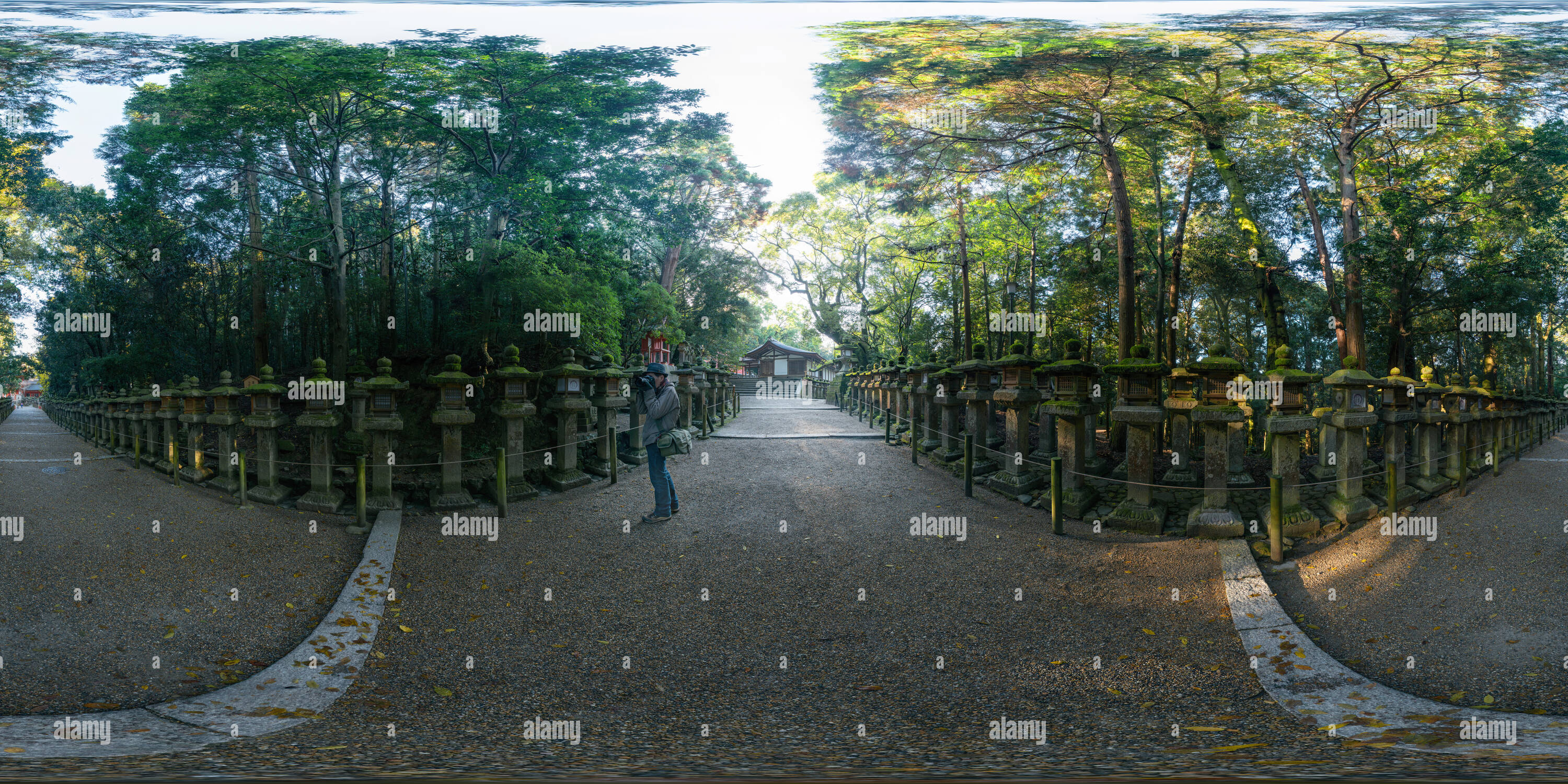 Visualizzazione panoramica a 360 gradi di Un approccio al santuario Kasugataisha, Nara, Giappone