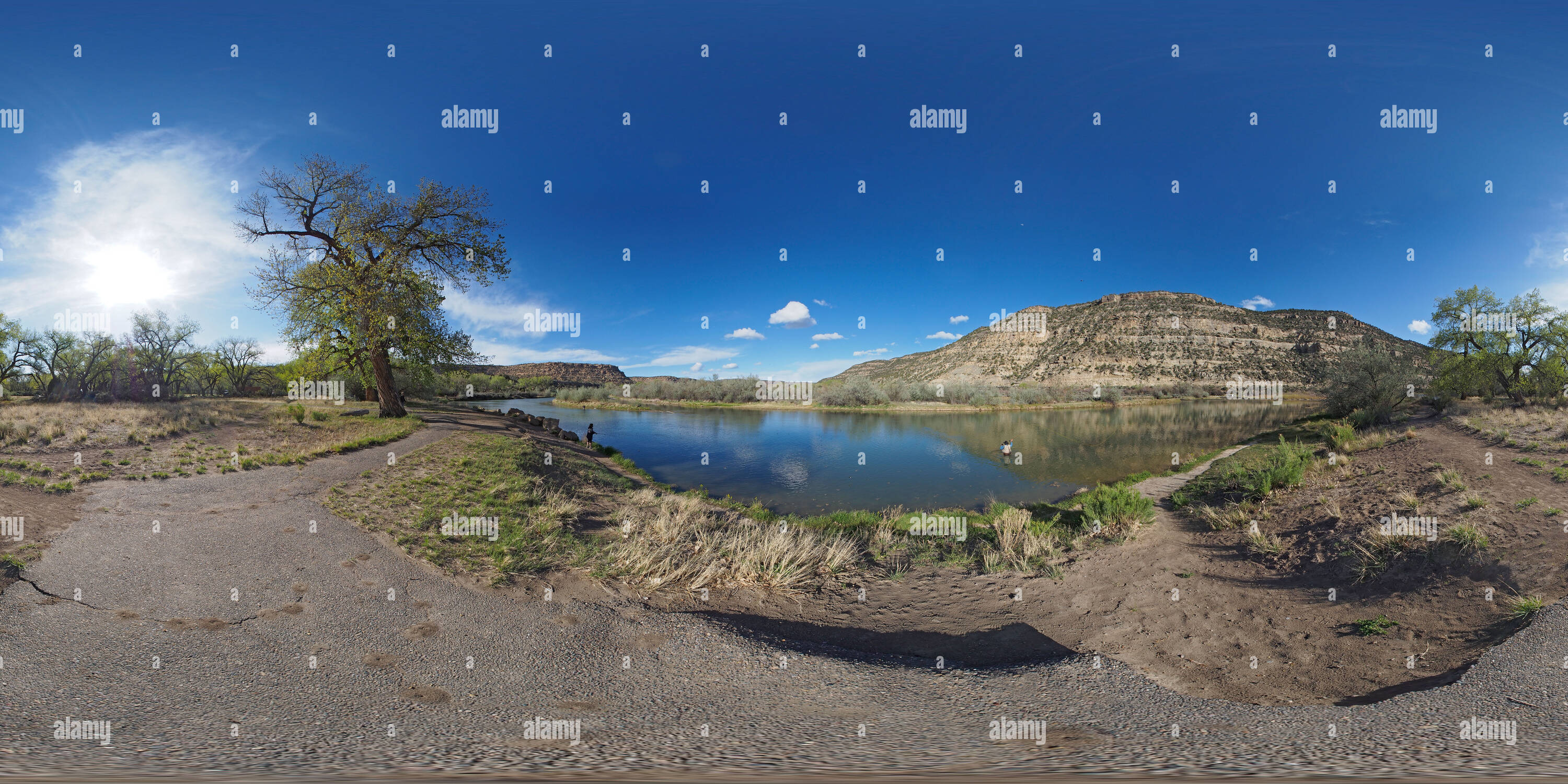 Visualizzazione panoramica a 360 gradi di Pesca a mosca nel fiume San Juan a pioppi neri americani Campeggio