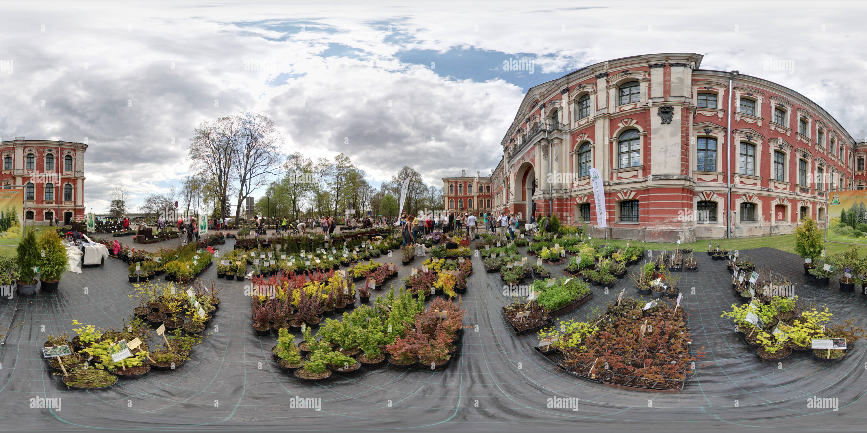 Visualizzazione panoramica a 360 gradi di Piante e piantine giorno di mercato in Jelgava 03