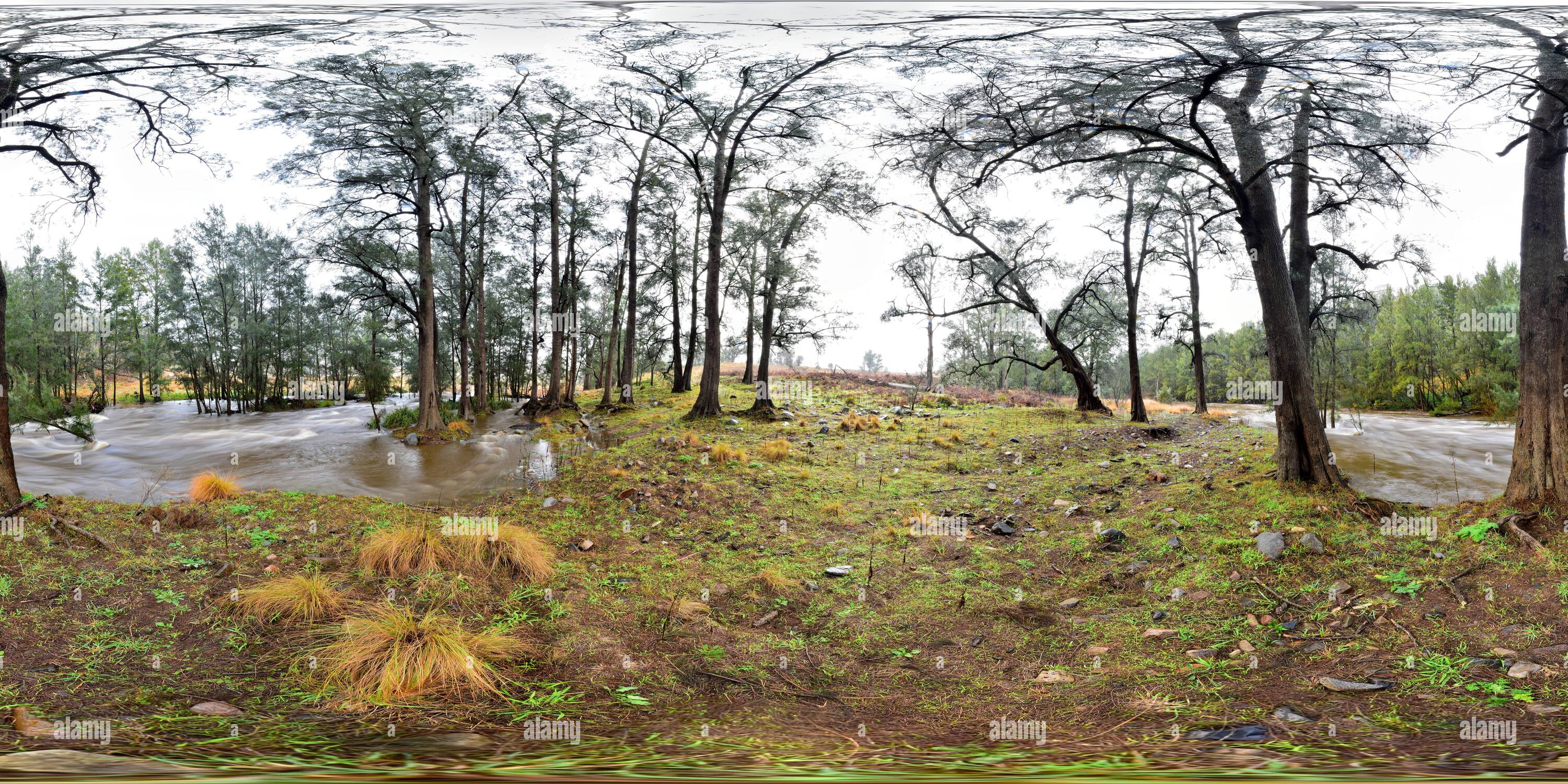 Visualizzazione panoramica a 360 gradi di Il fiume di Coxs allagata, poco Hartley, Nuovo Galles del Sud, Australia