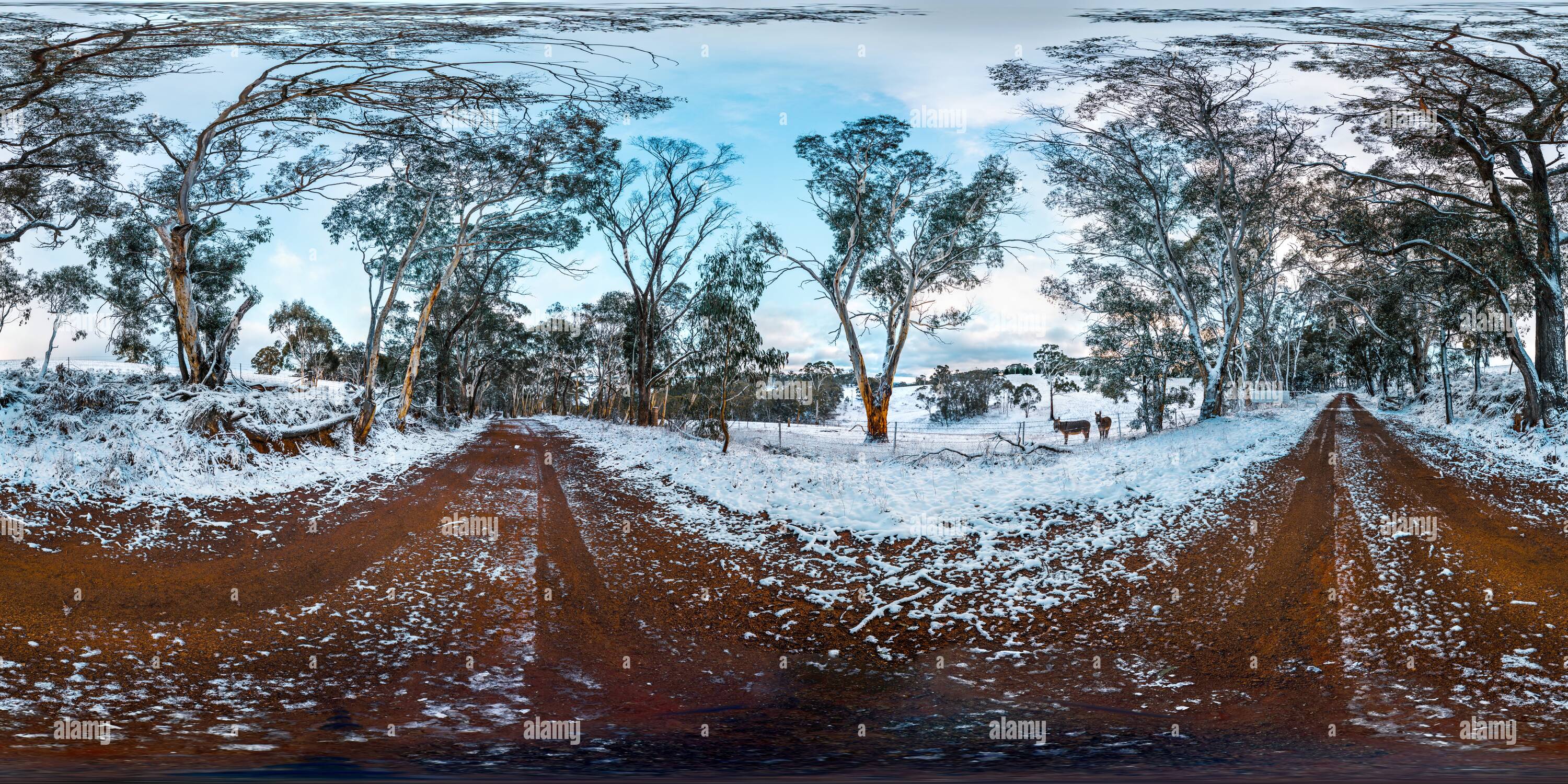 Visualizzazione panoramica a 360 gradi di Prima neve sulla fattoria, Duckmaloi, NSW, Australia