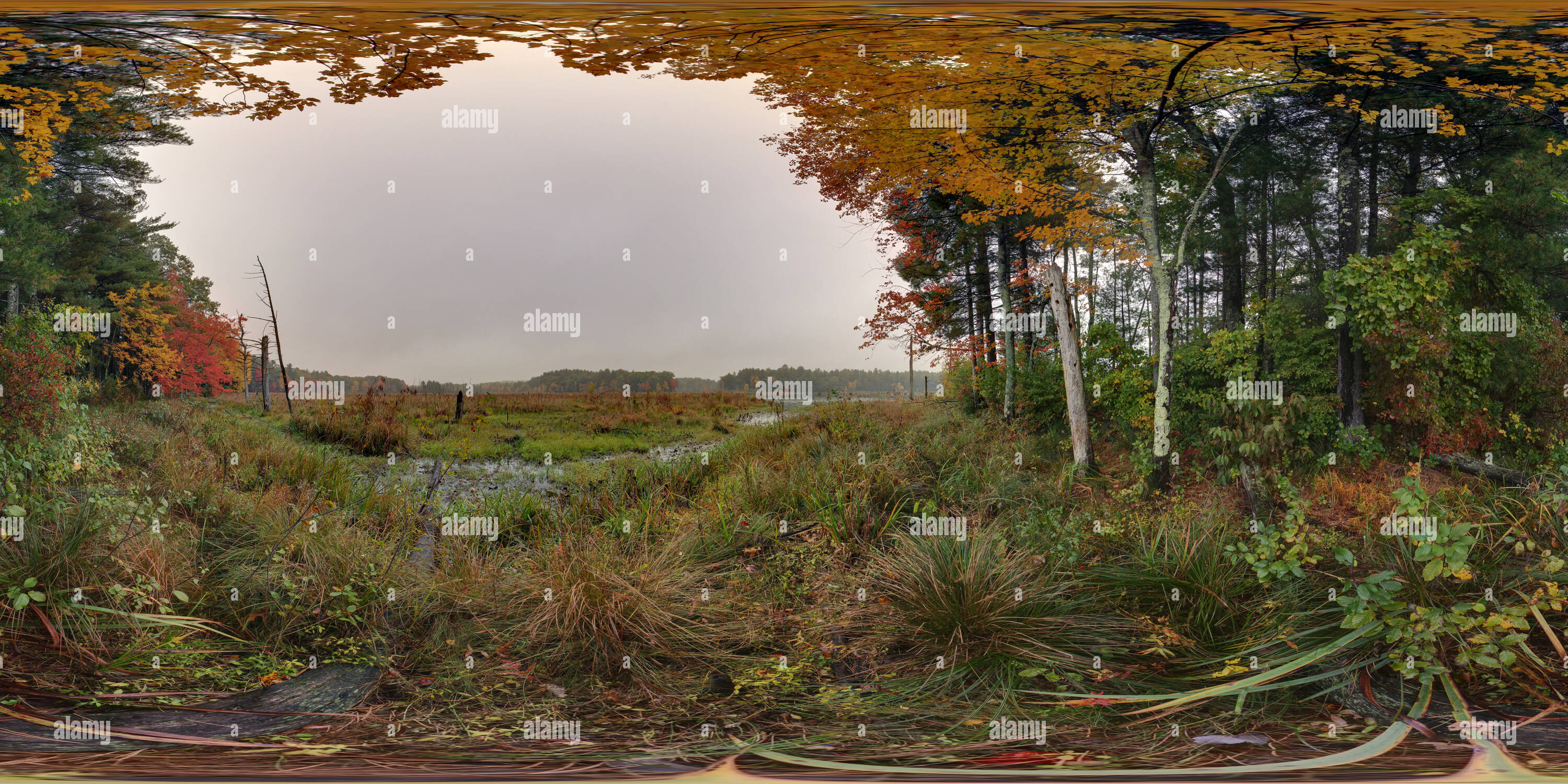 Visualizzazione panoramica a 360 gradi di Vista orientale Puffer stagno al Rifugio Assabat Massachusetts USA