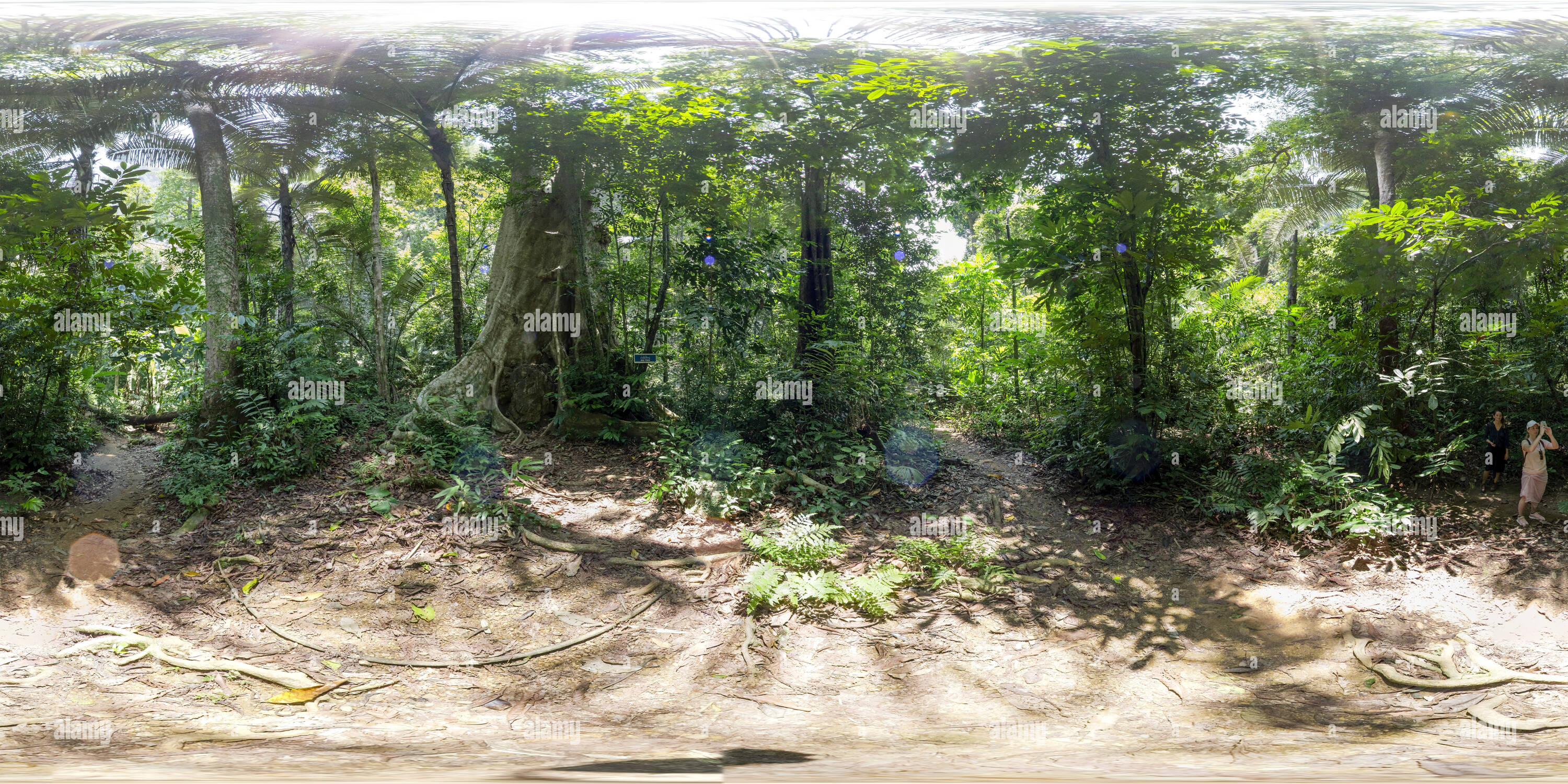 Visualizzazione panoramica a 360 gradi di Wonderland - Wat Tham Suea