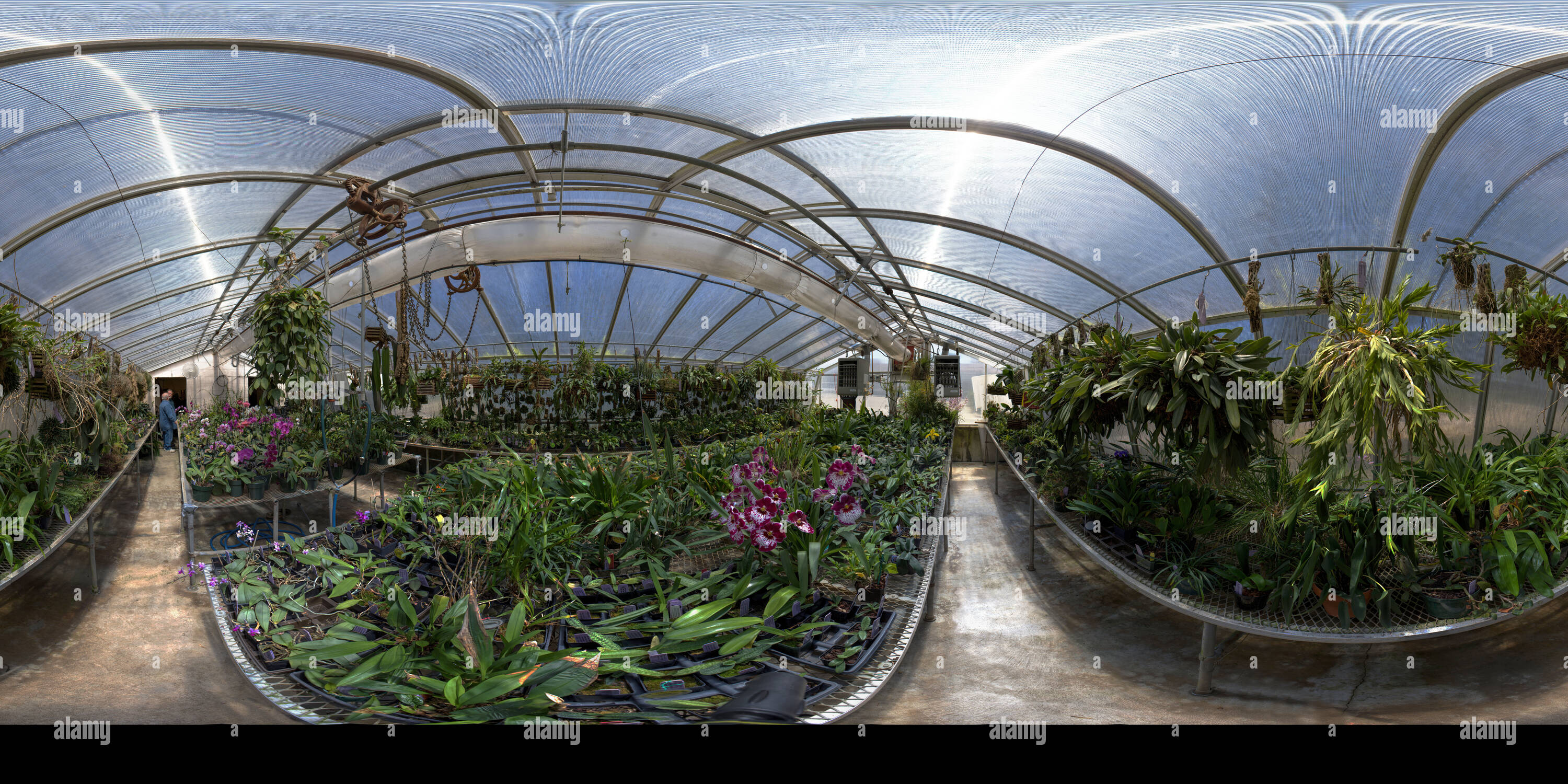 Visualizzazione panoramica a 360 gradi di Serra a sudovest di College, Winfield, Kansas