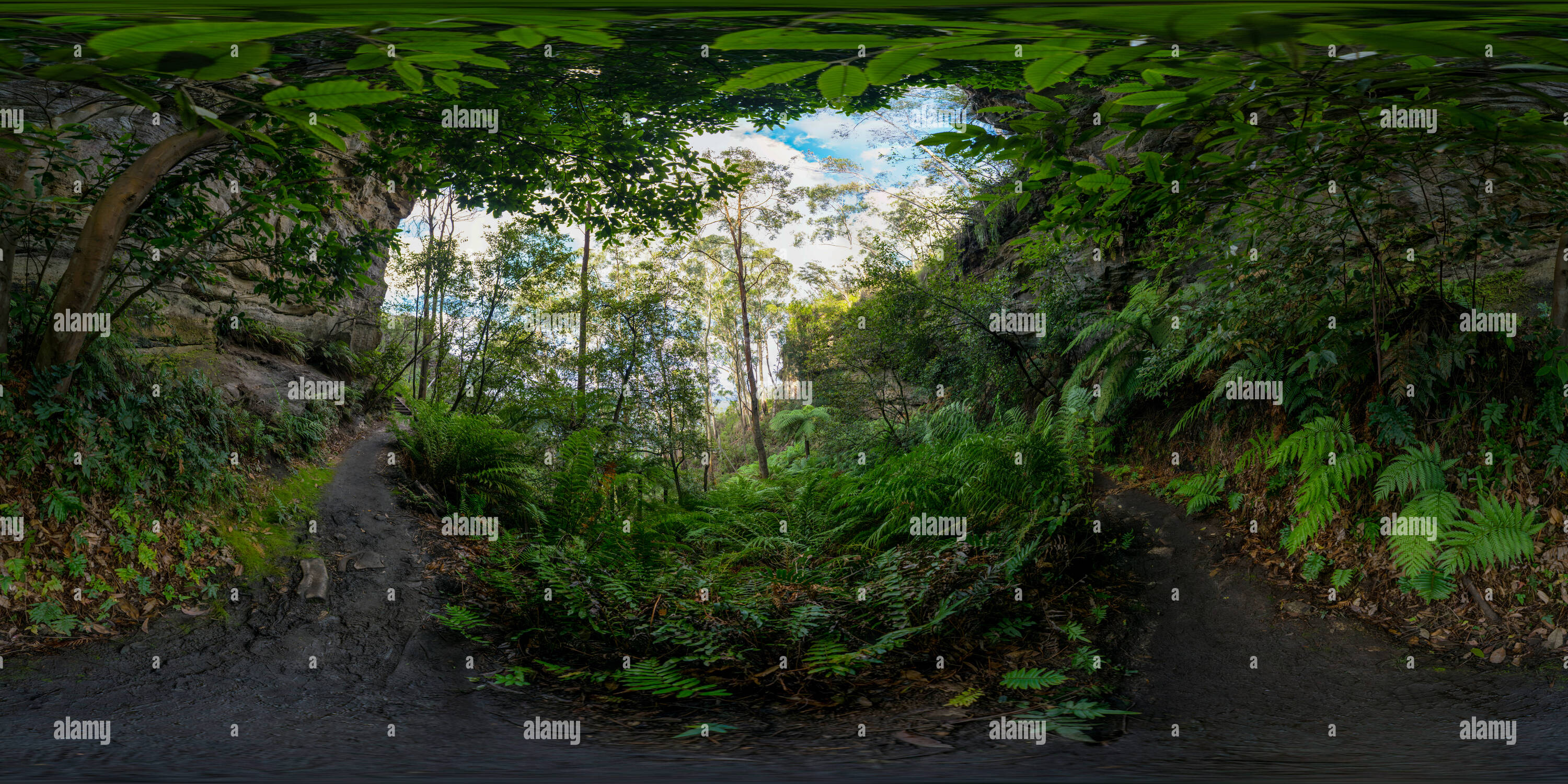 Visualizzazione panoramica a 360 gradi di Fernery Grotta, Leura, Nuovo Galles del Sud, Australia