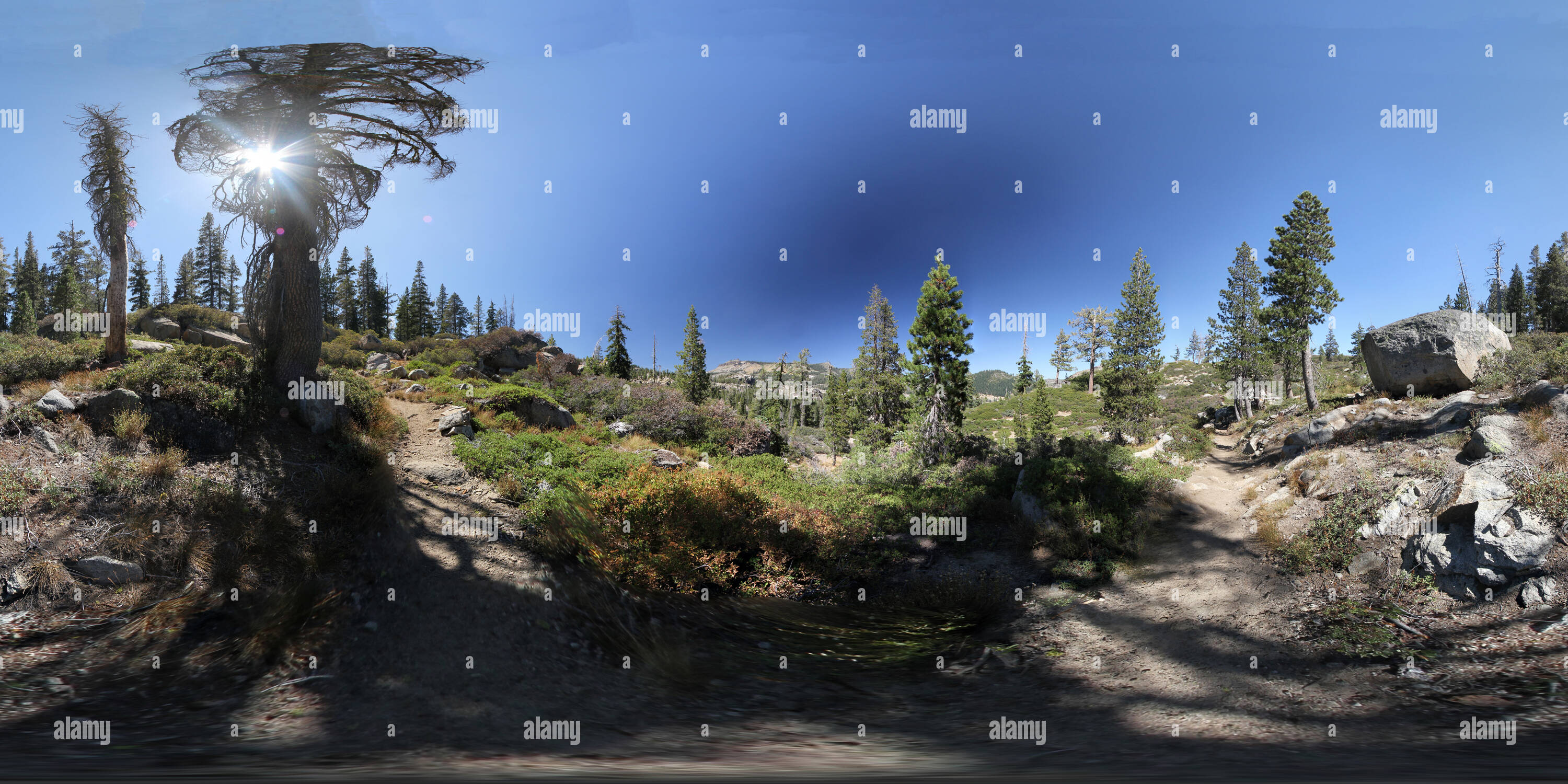 Visualizzazione panoramica a 360 gradi di Pacific Crest Trail vicino Donner Summit