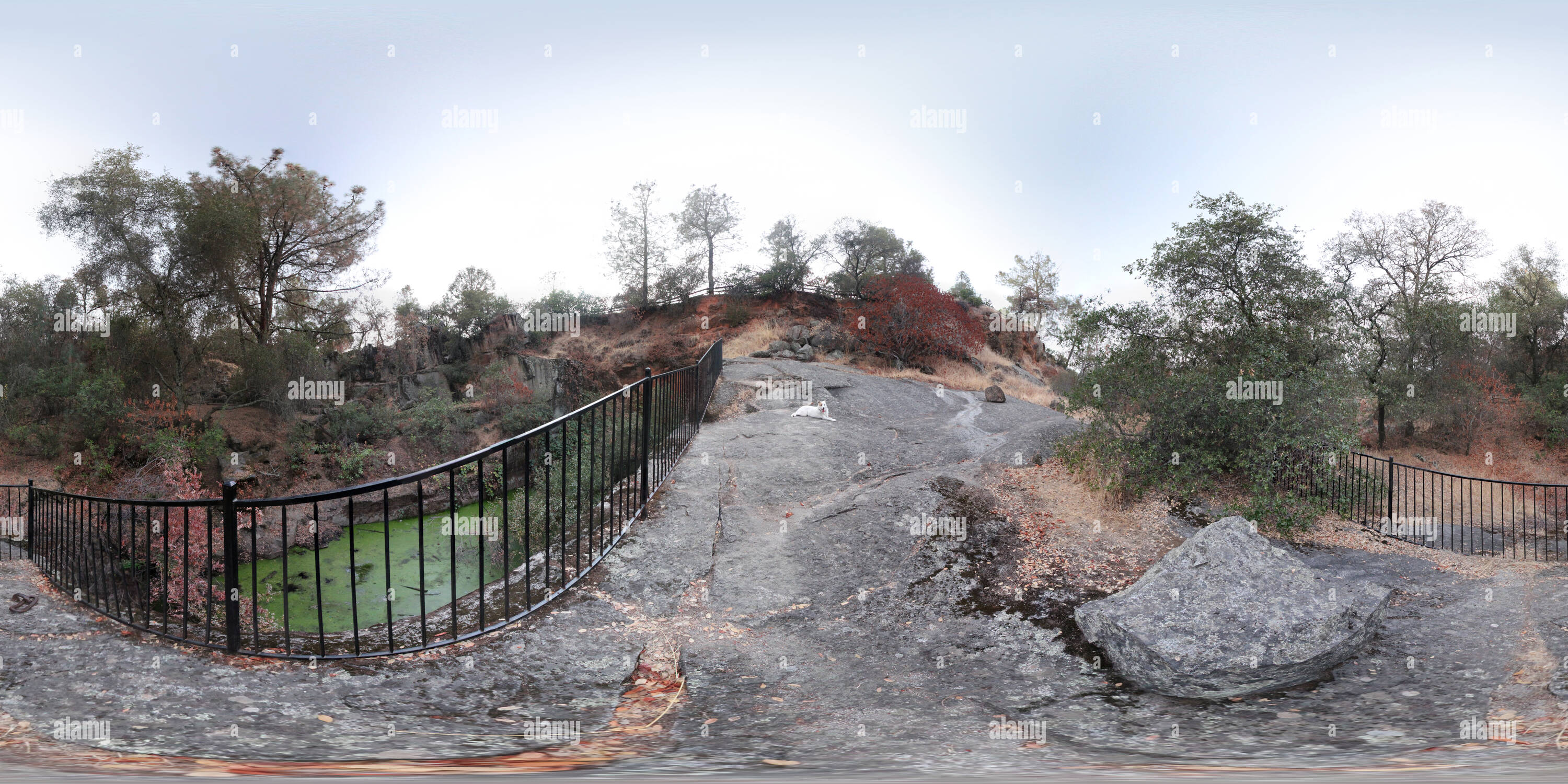 Visualizzazione panoramica a 360 gradi di Cava di Griffith Park