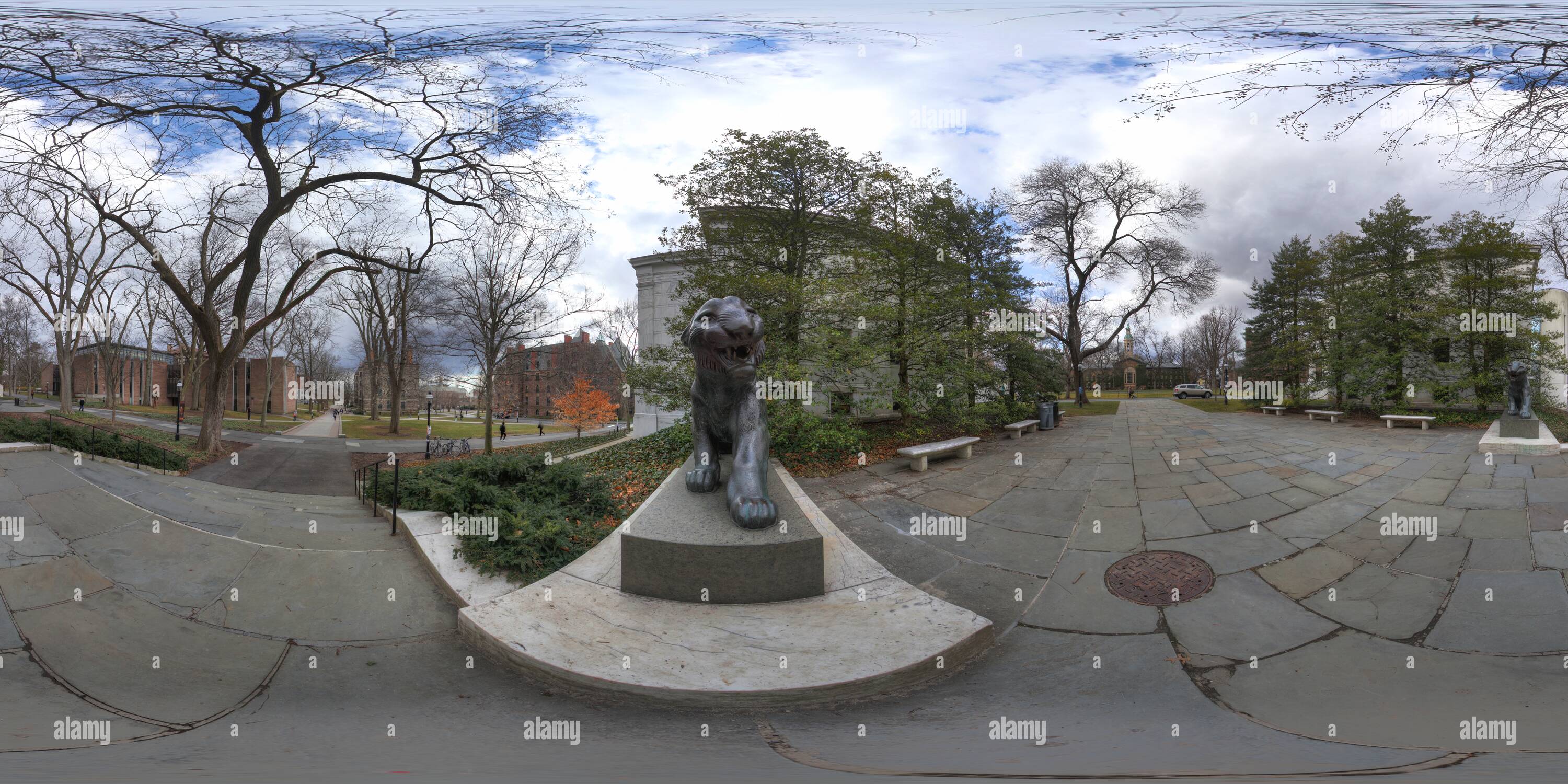 Visualizzazione panoramica a 360 gradi di Princeton Tigers