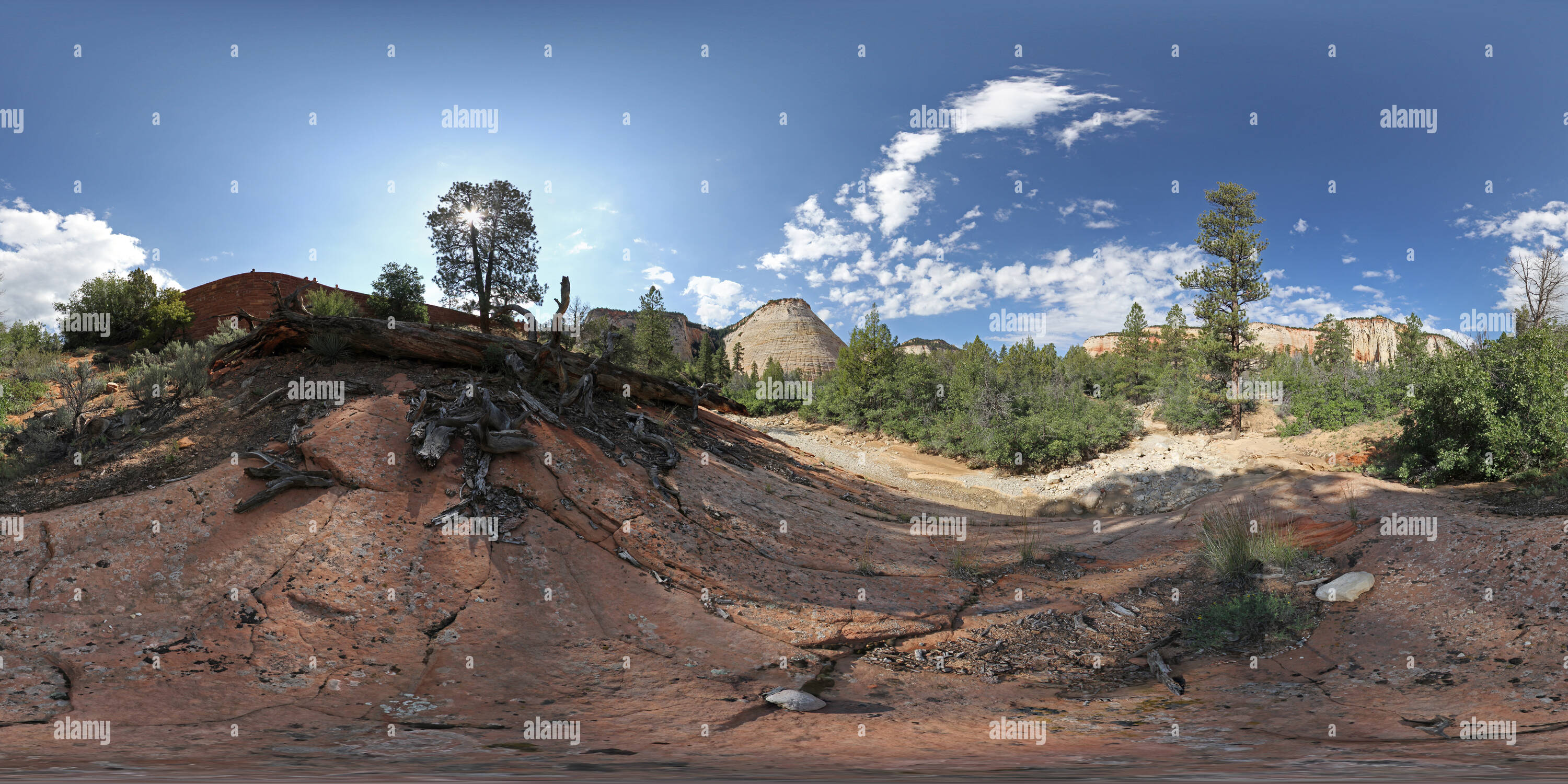 Visualizzazione panoramica a 360 gradi di La Checkerboard Mesa