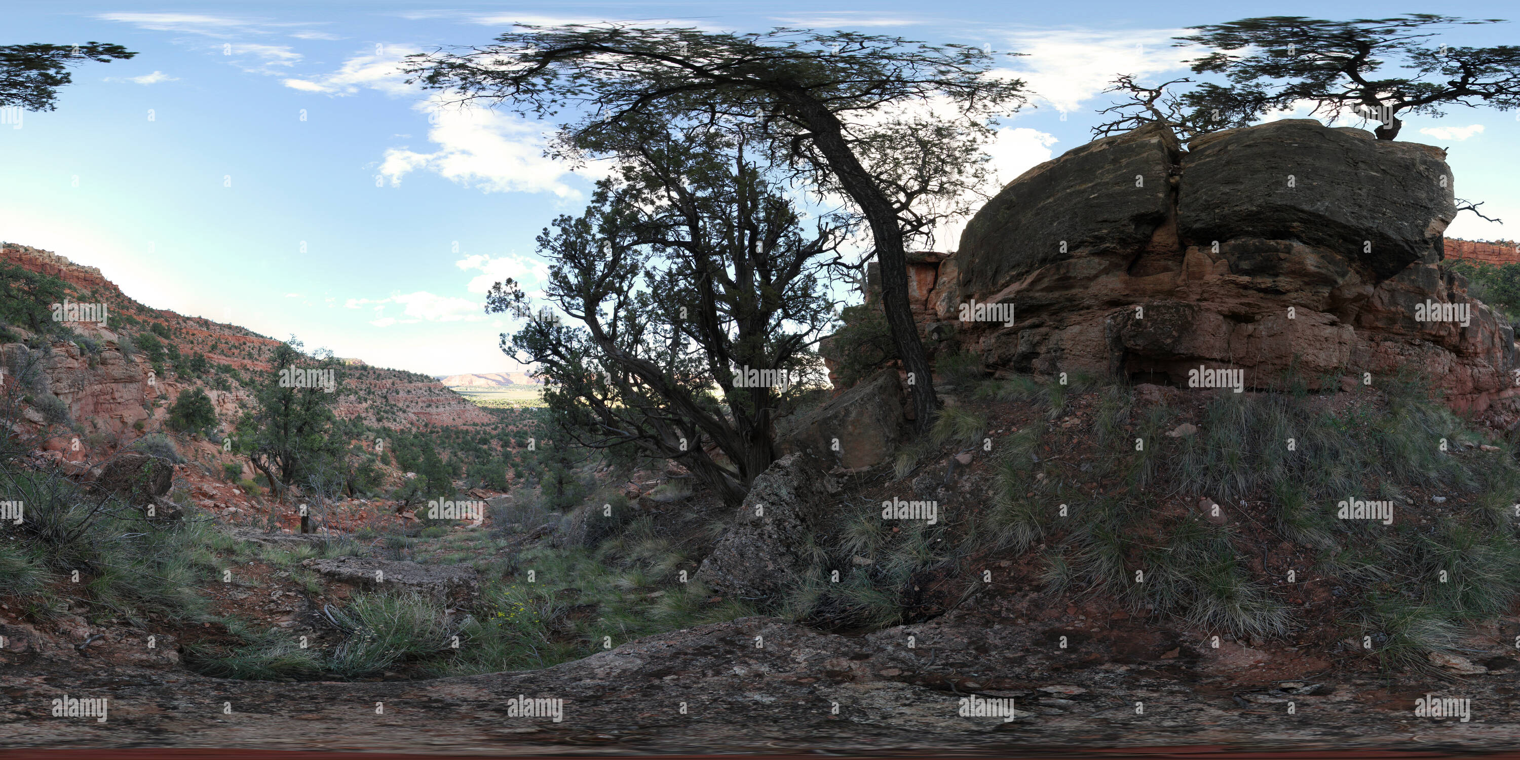 Visualizzazione panoramica a 360 gradi di Periferia di Kanab, Utah