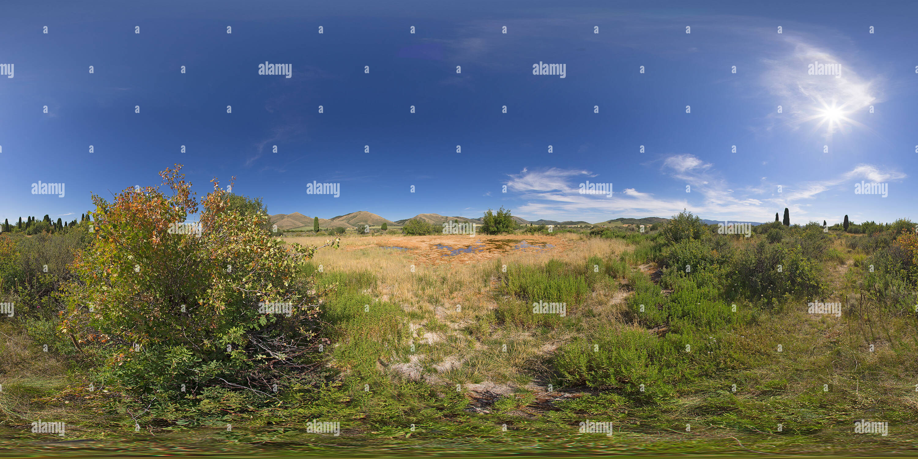 Visualizzazione panoramica a 360 gradi di Un sphagnum bog a formazione di preservare le molle