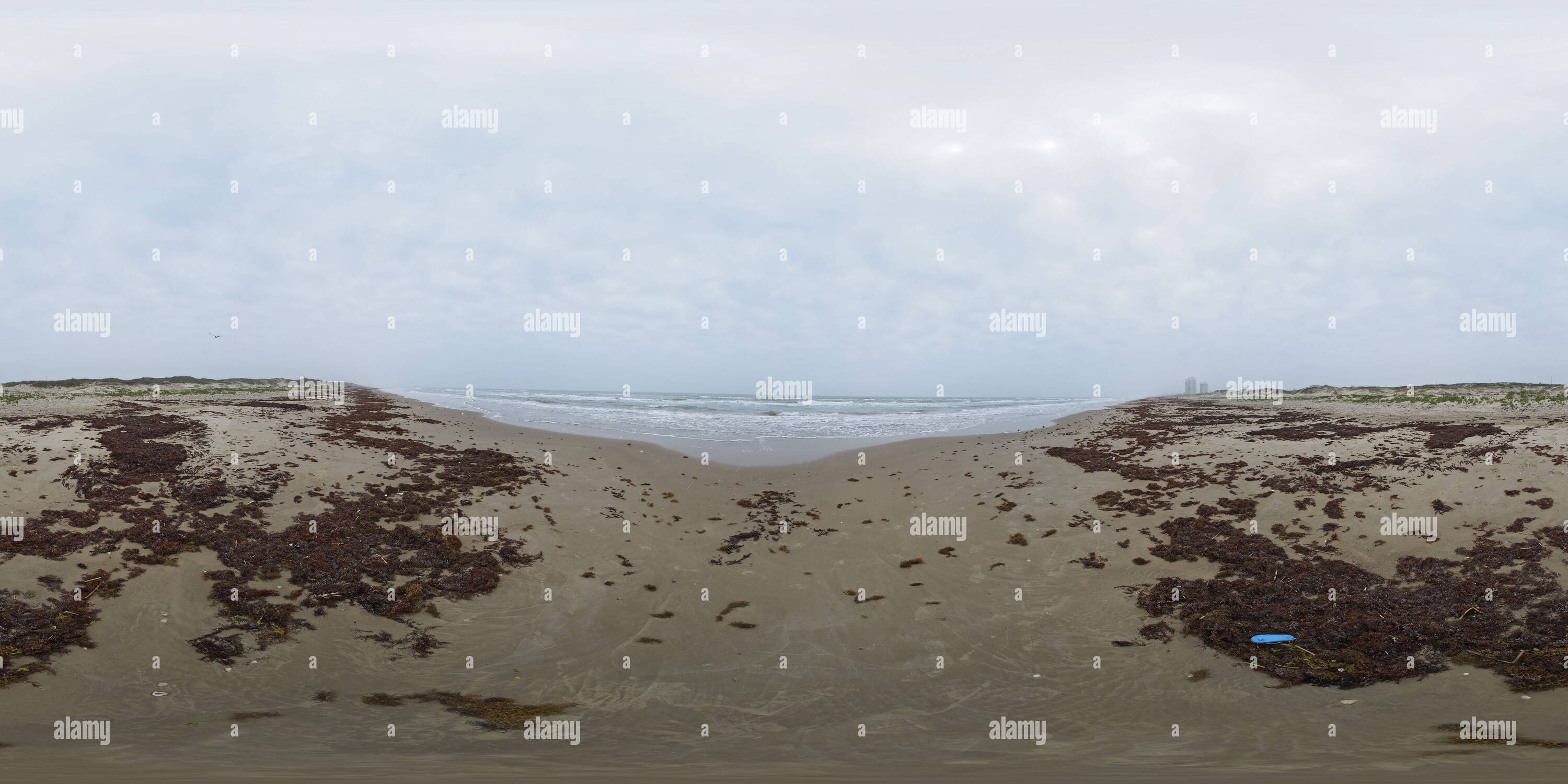 Visualizzazione panoramica a 360 gradi di Spiaggia naturale su South Padre Island