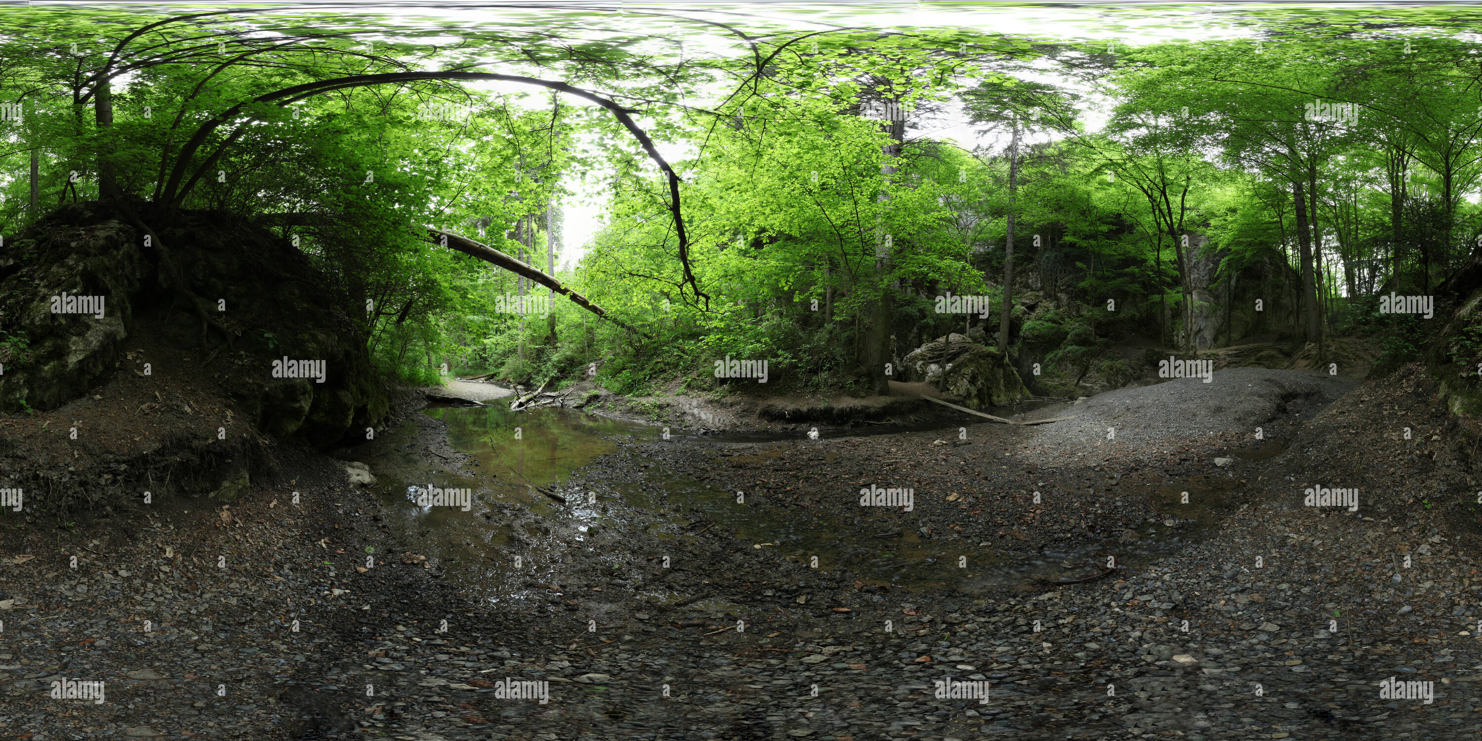 Visualizzazione panoramica a 360 gradi di Rudice torrente sotterraneo ingresso - Carso Moravo