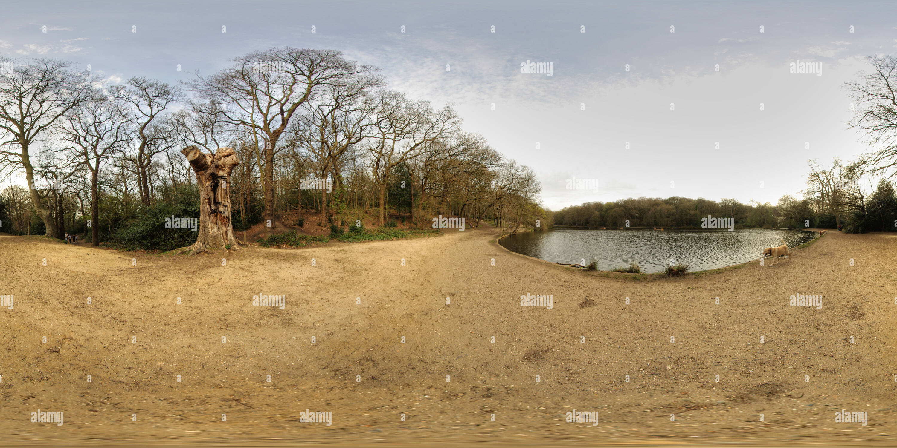 Visualizzazione panoramica a 360 gradi di Queen's semplice in Wimbledon Common Park, Londra