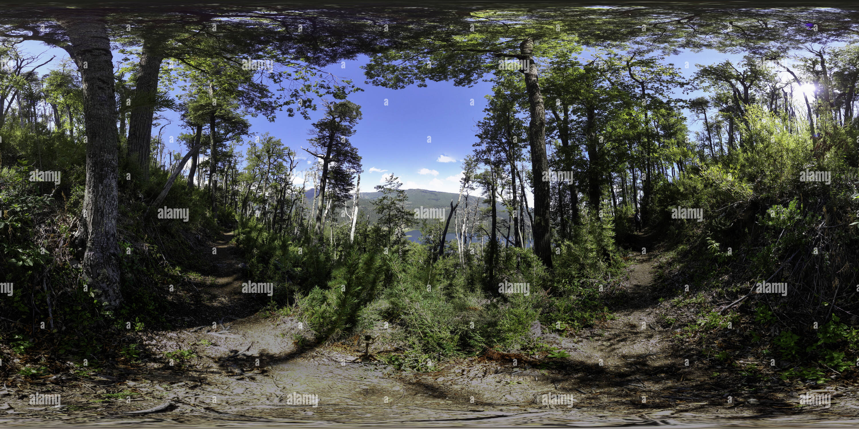 Visualizzazione panoramica a 360 gradi di 02 Pn Tolhuaca Subiendo Al Mirador 2