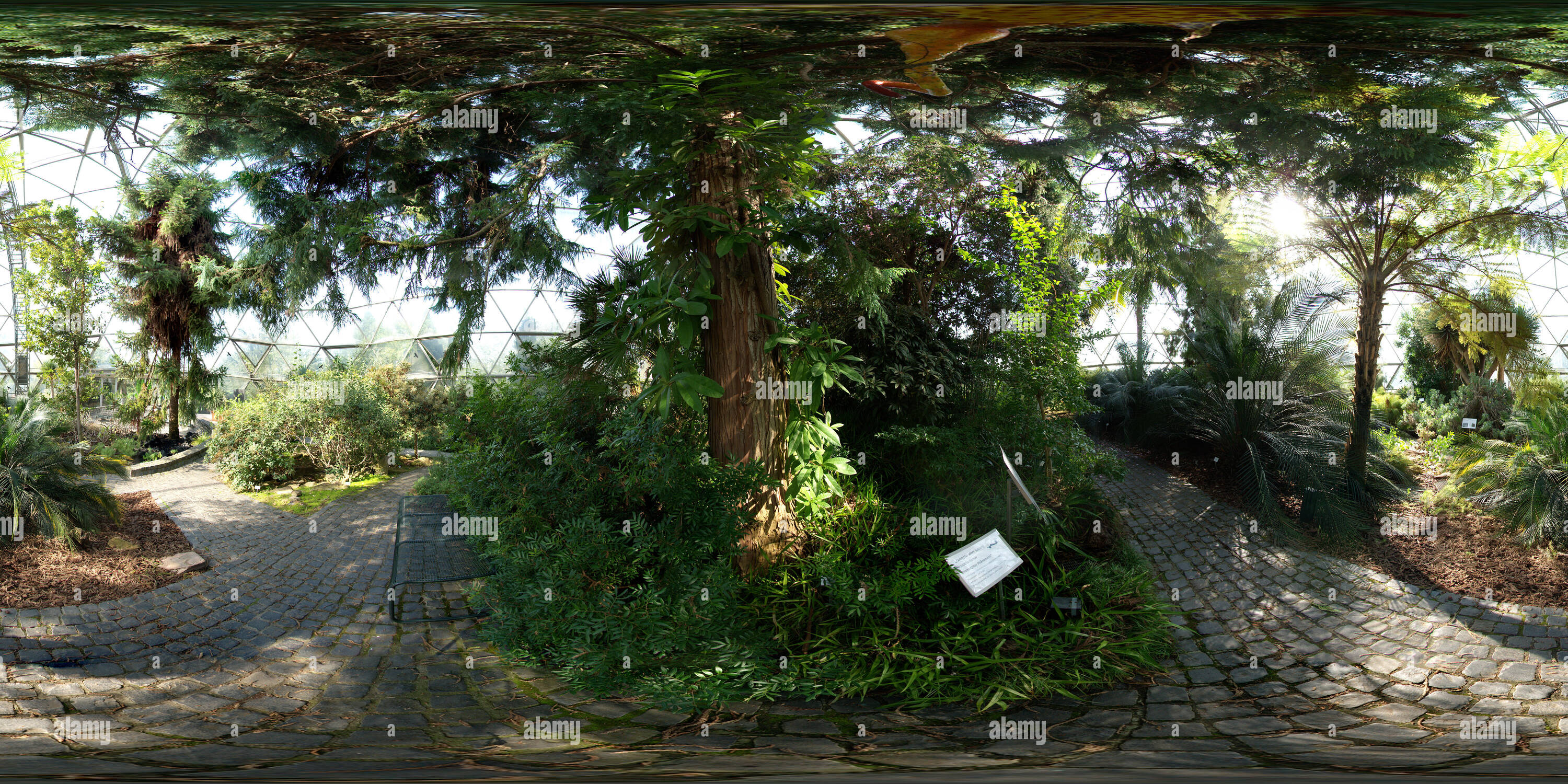 Visualizzazione panoramica a 360 gradi di Serra a cupola presso l università di Heinrich-Heine giardini botanici, Düsseldorf, NRW, Germania