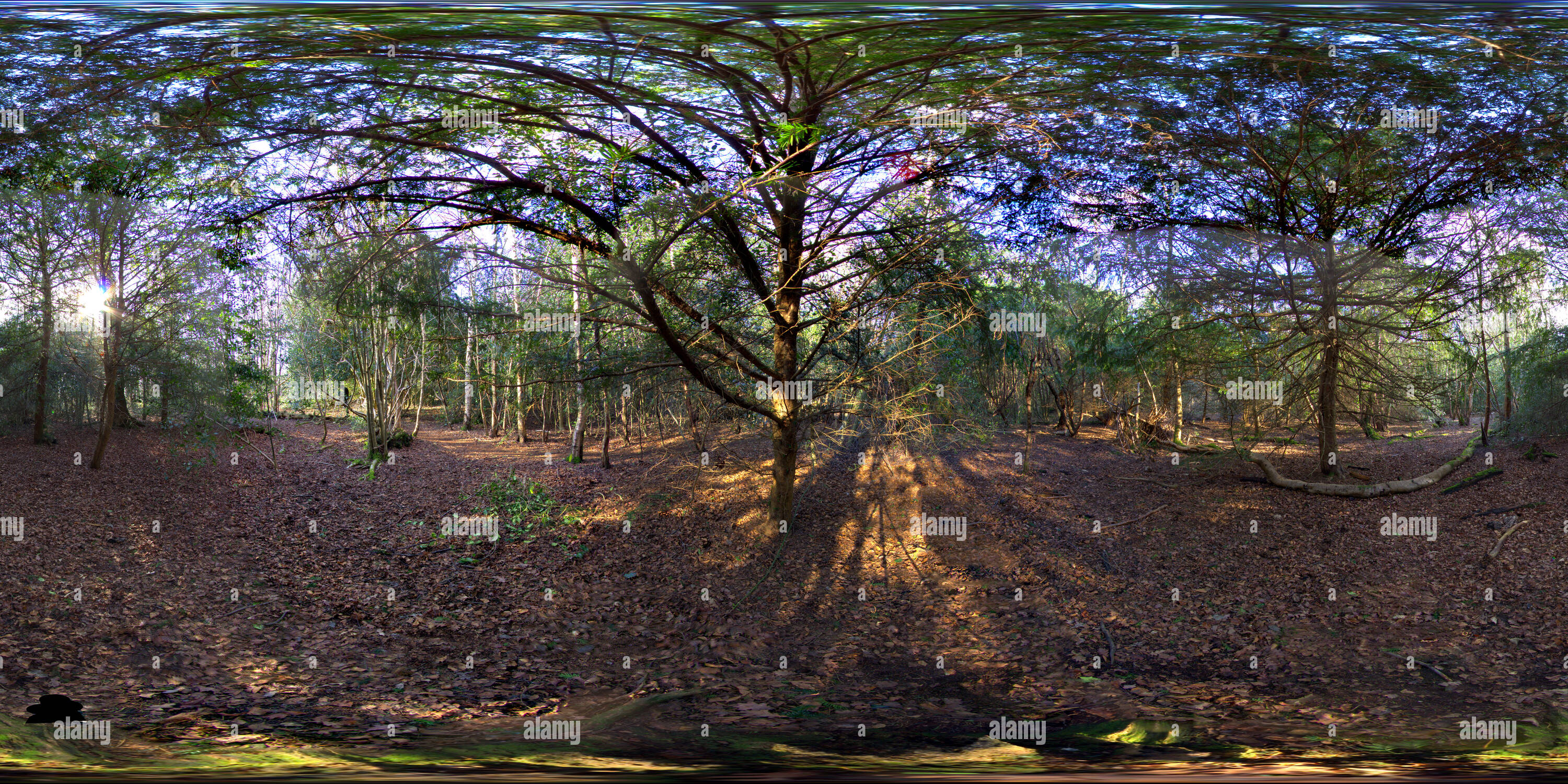 Visualizzazione panoramica a 360 gradi di Petts Wood, Bromley, Regno Unito