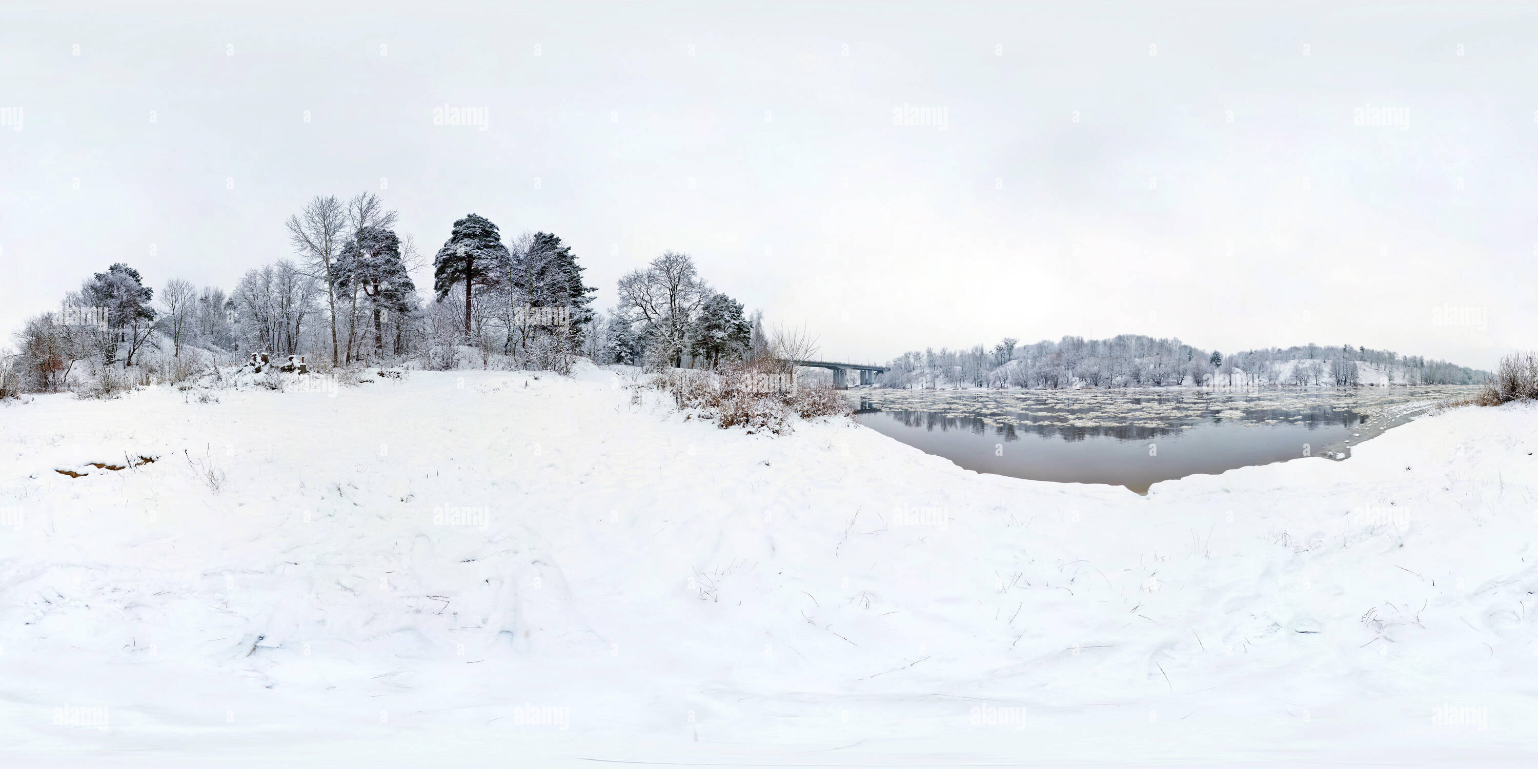 Visualizzazione panoramica a 360 gradi di Panorama invernale nella neve-coperta di foresta vicino al fiume. Piena sferica a 360 da 180 gradi panorama senza giunture in proiezione equirettangolare. Skybox f