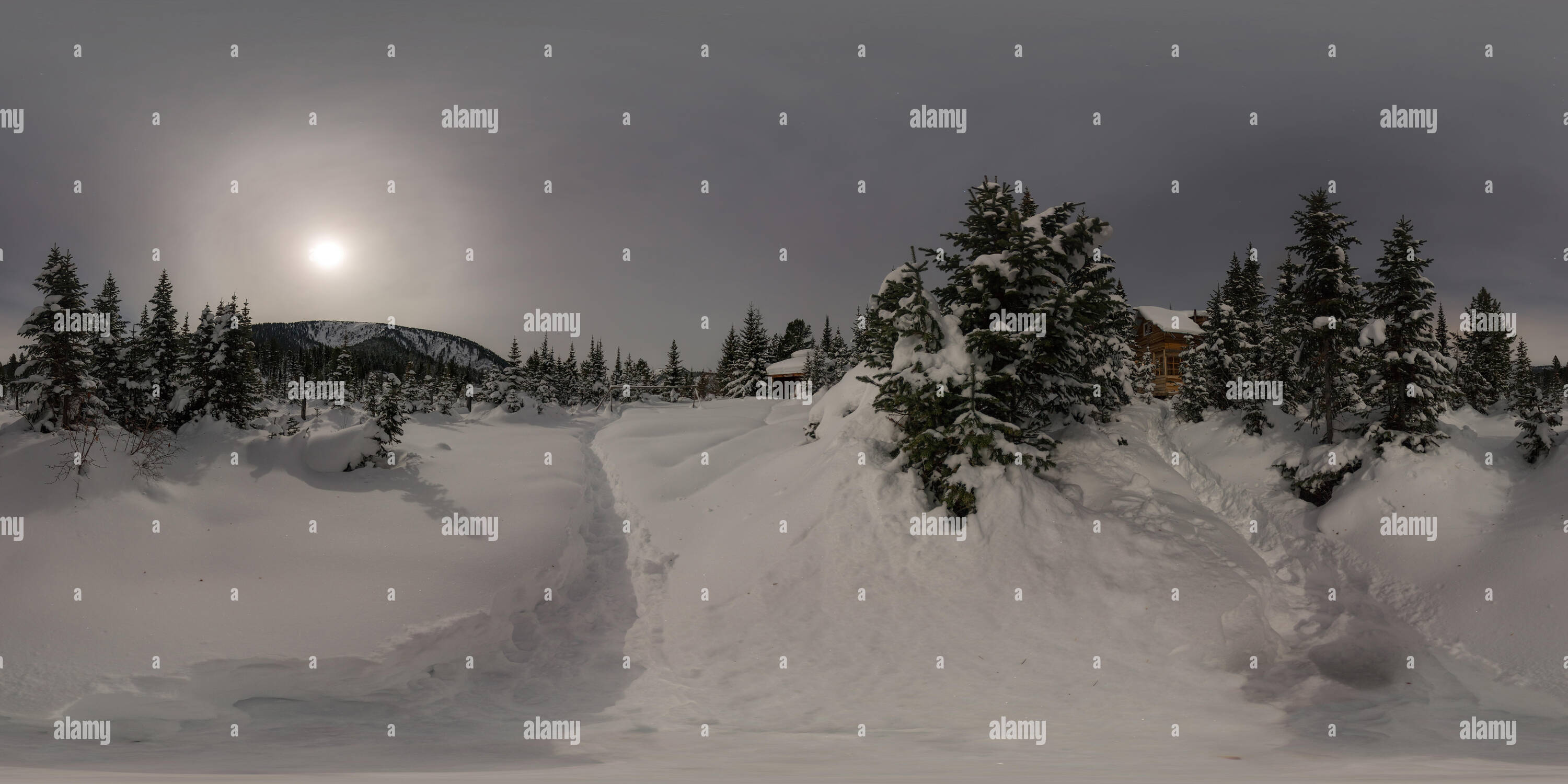 Visualizzazione panoramica a 360 gradi di Panorama casa chalet durante una nevicata nel gli alberi della foresta di inverno di notte al chiaro di luna. Forma sferica 360vr panorama.