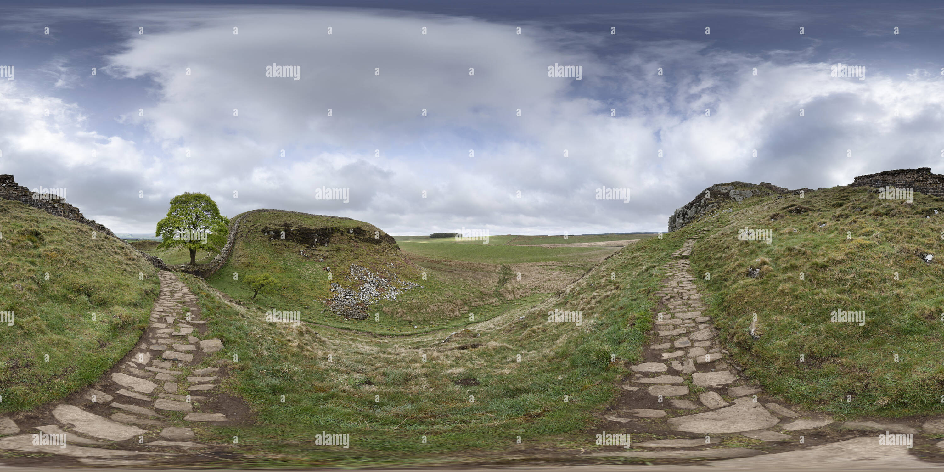 Visualizzazione panoramica a 360 gradi di Sycamore Gap sul vallo di Adriano, Cumbria, Regno Unito