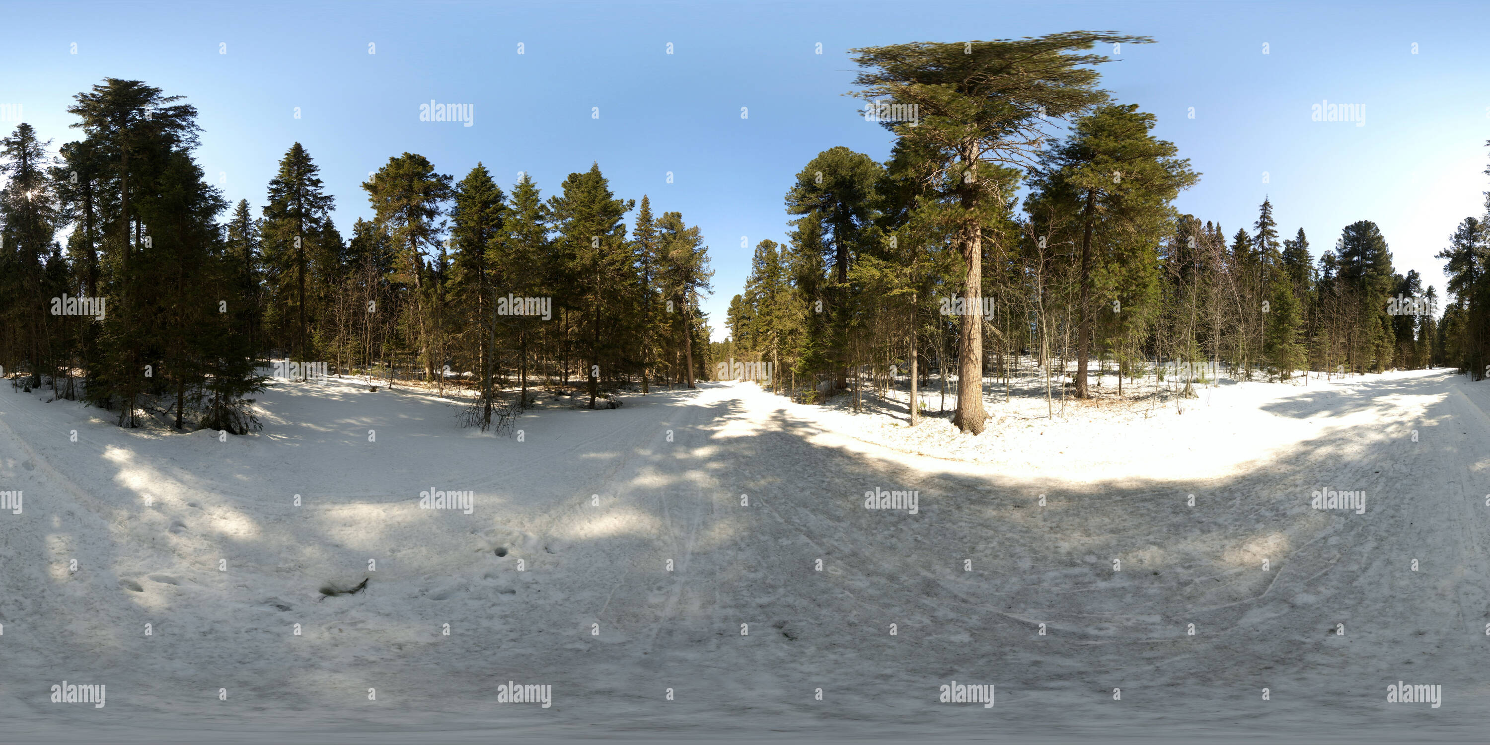 Visualizzazione panoramica a 360 gradi di Конец сезона 2019