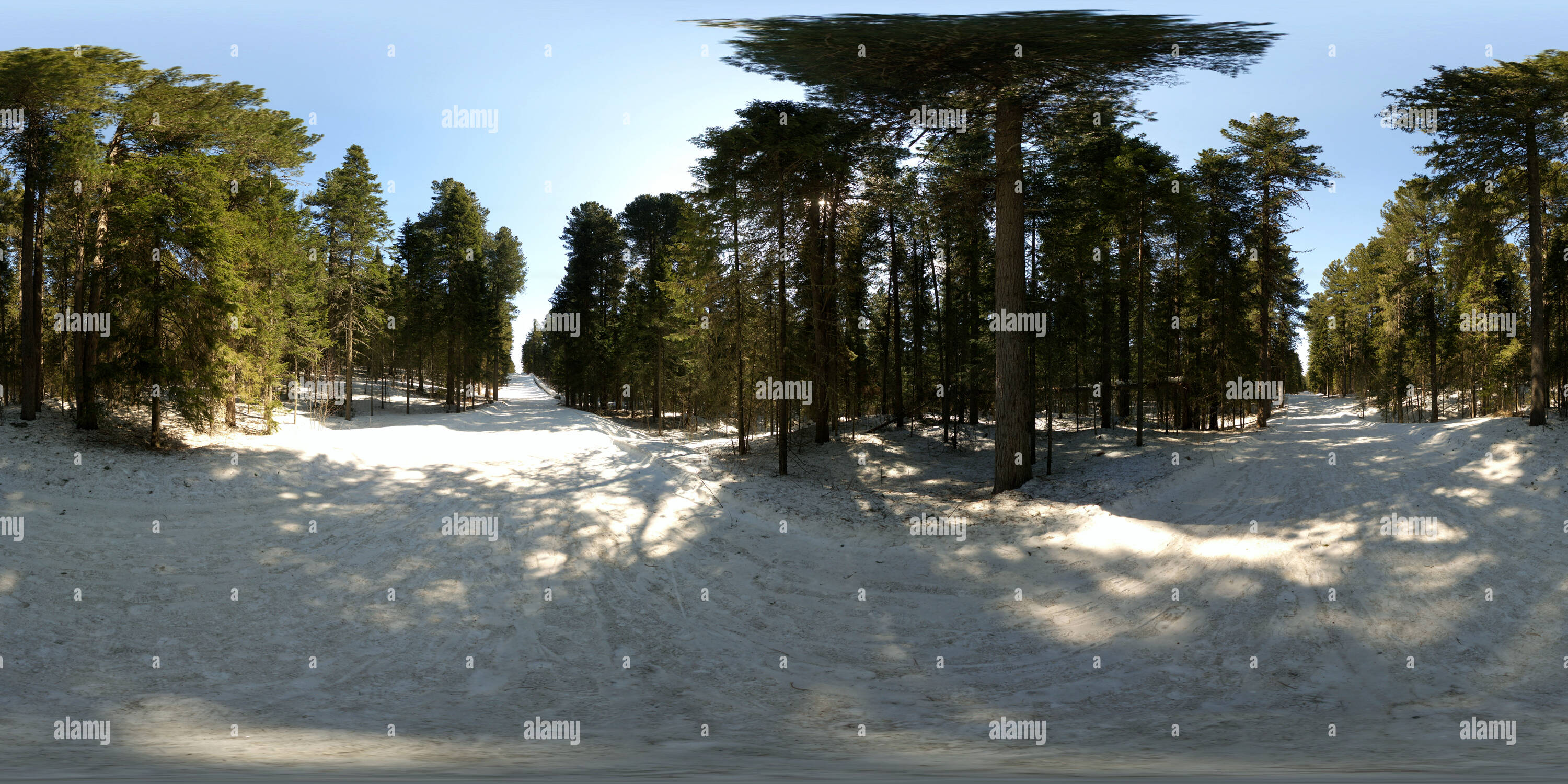 Visualizzazione panoramica a 360 gradi di Трасса. Конец сезона 2019