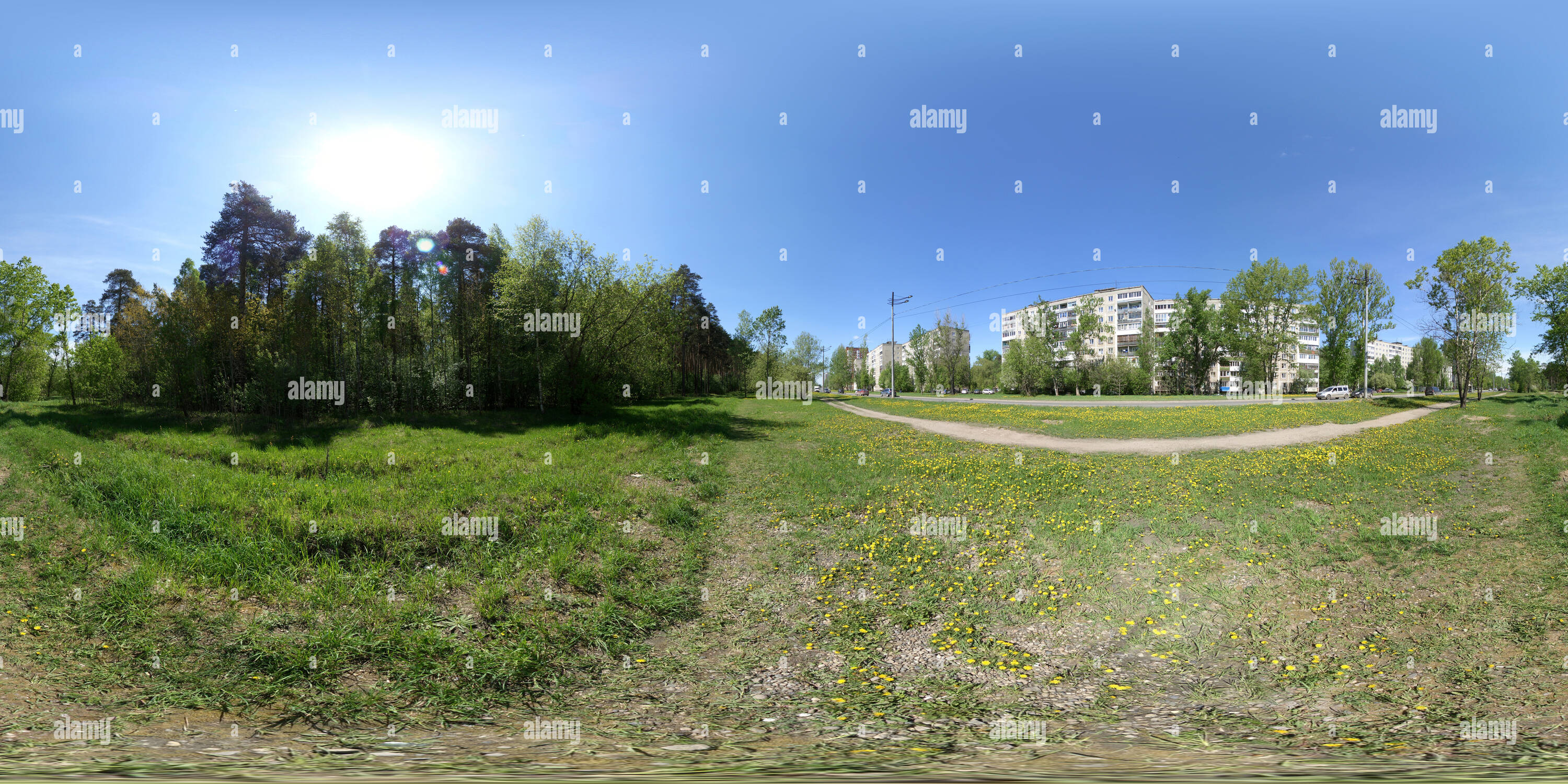 Visualizzazione panoramica a 360 gradi di Одуванчики на Подлесной